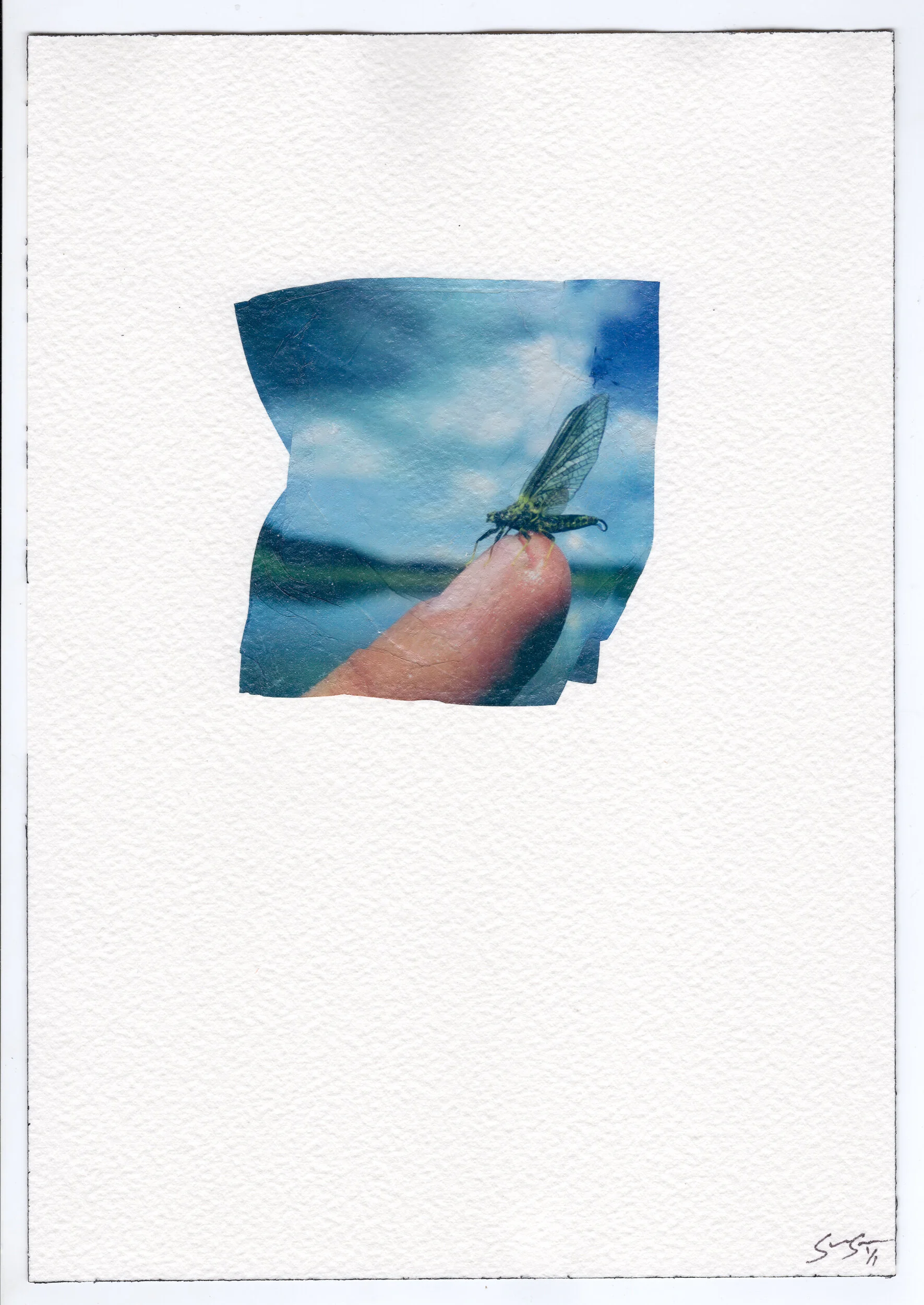 7_polaroid_emulsion_Transfer_sean_Kerrick_sullivan_.jpg