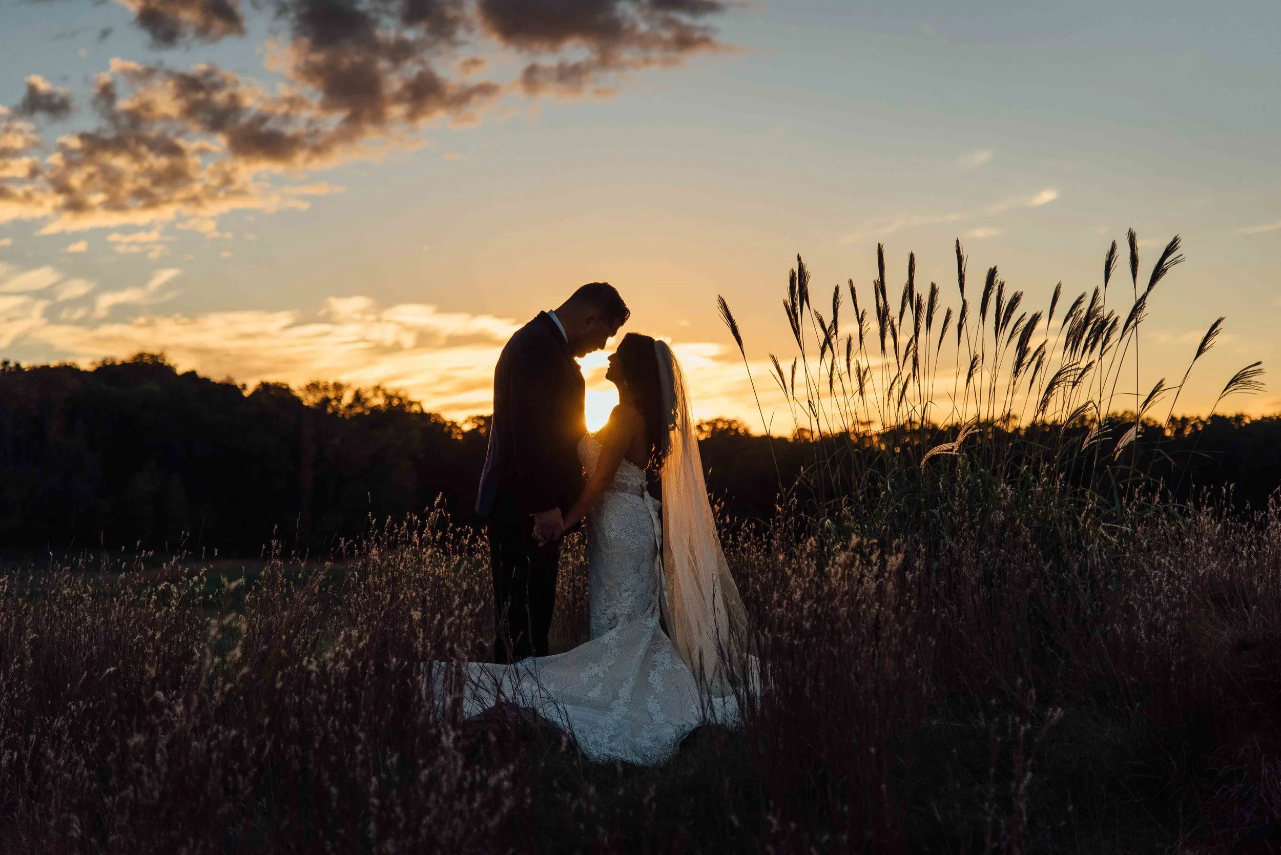 Carlos Alvarado Photography-1-2.jpg