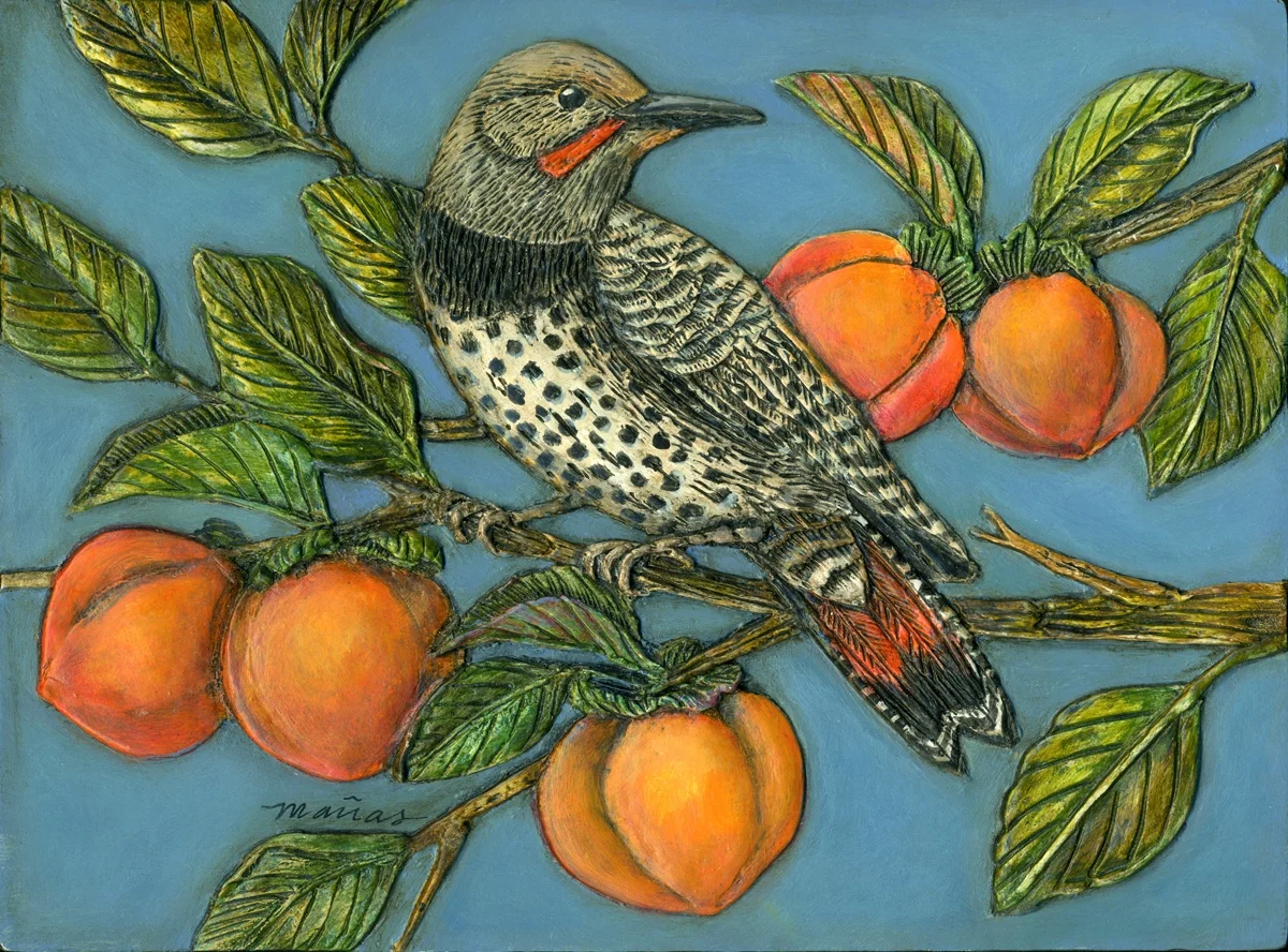 Flicker in a Persimmon Tree
