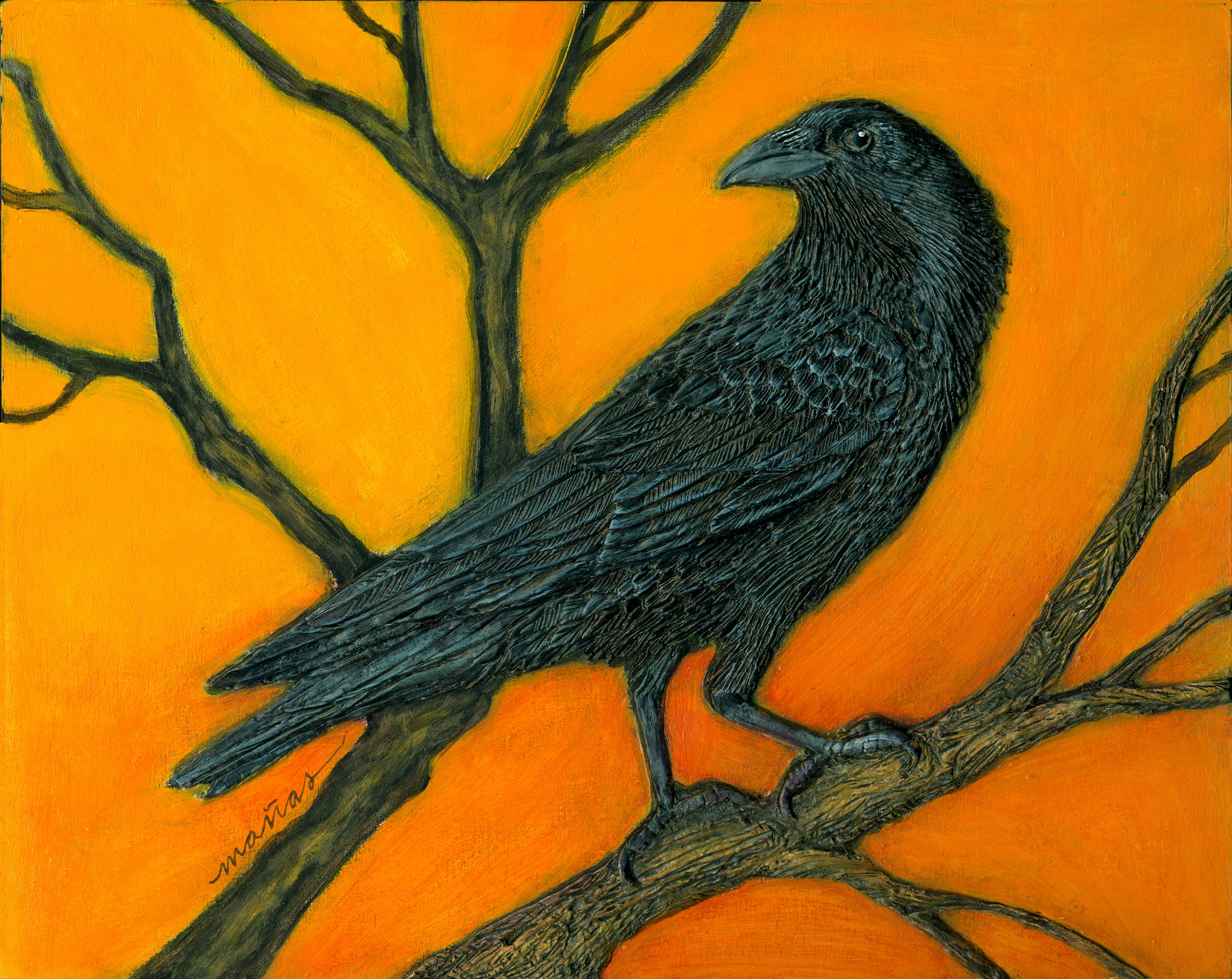 That Crow!