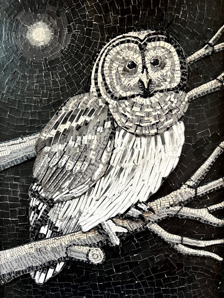 Scrappy Little Owl