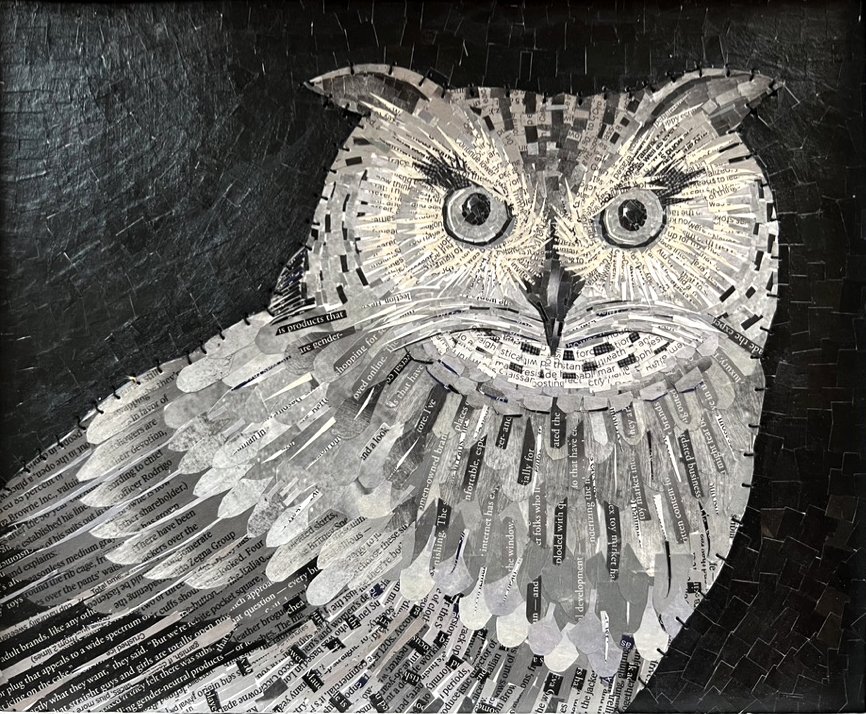 Night Owl