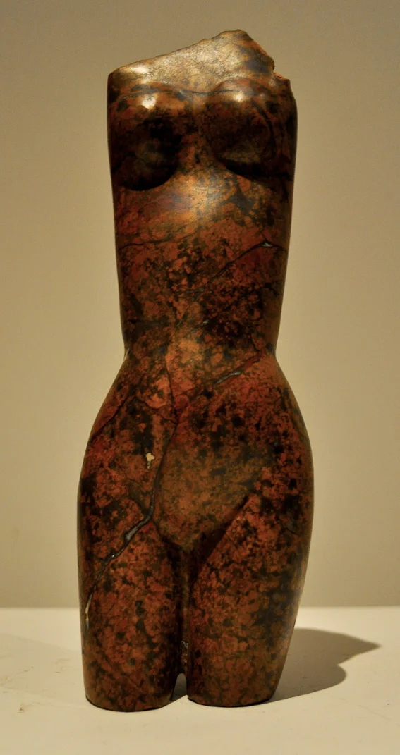 Torso 4