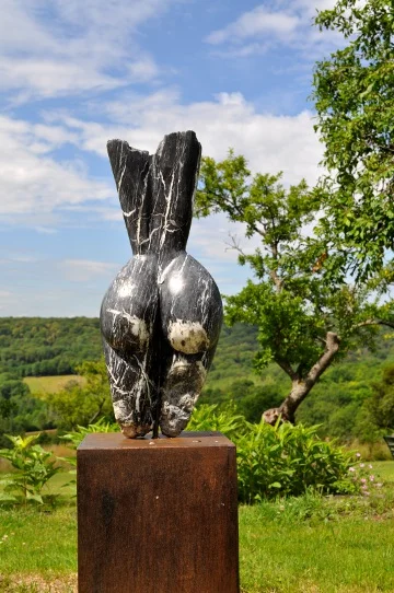 Torso 8