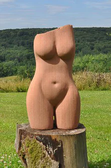 Torso 7