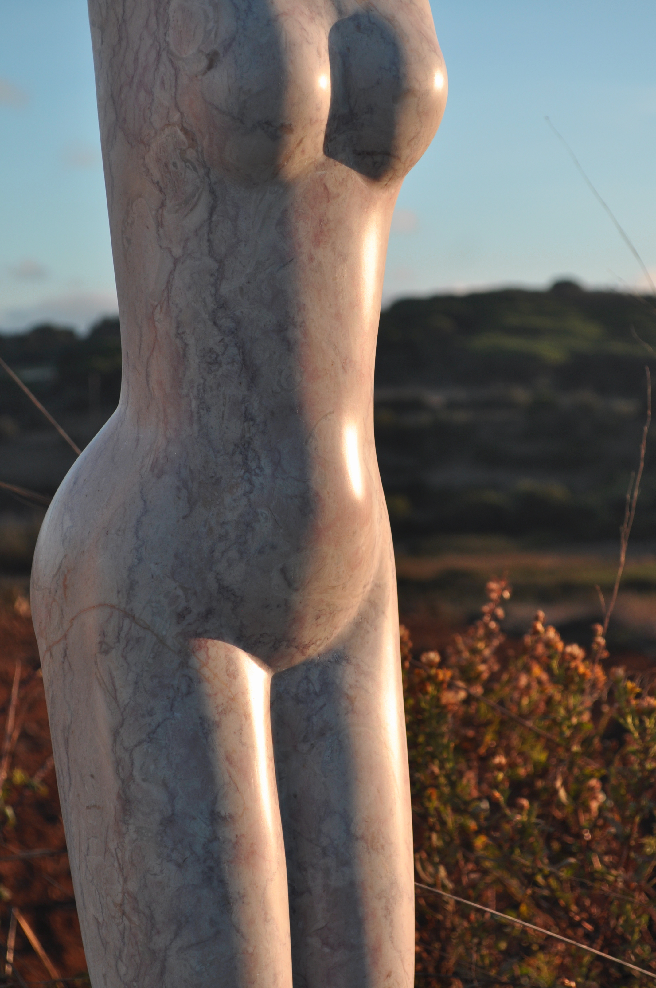 Torso 5