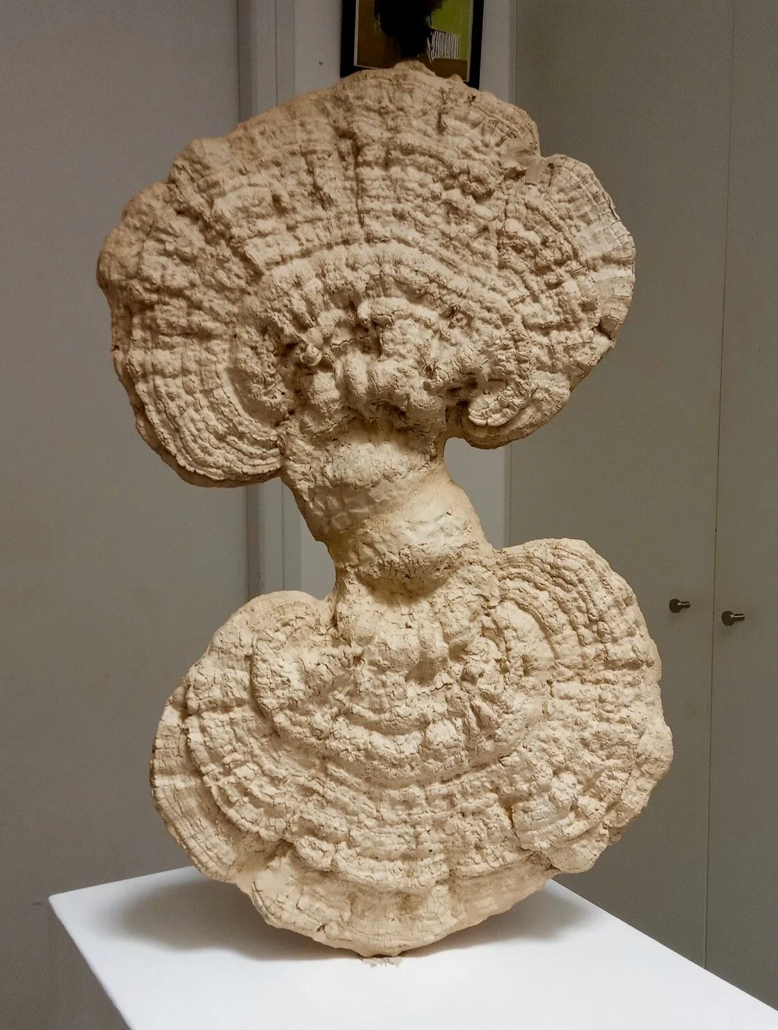 Dancing Polypore
