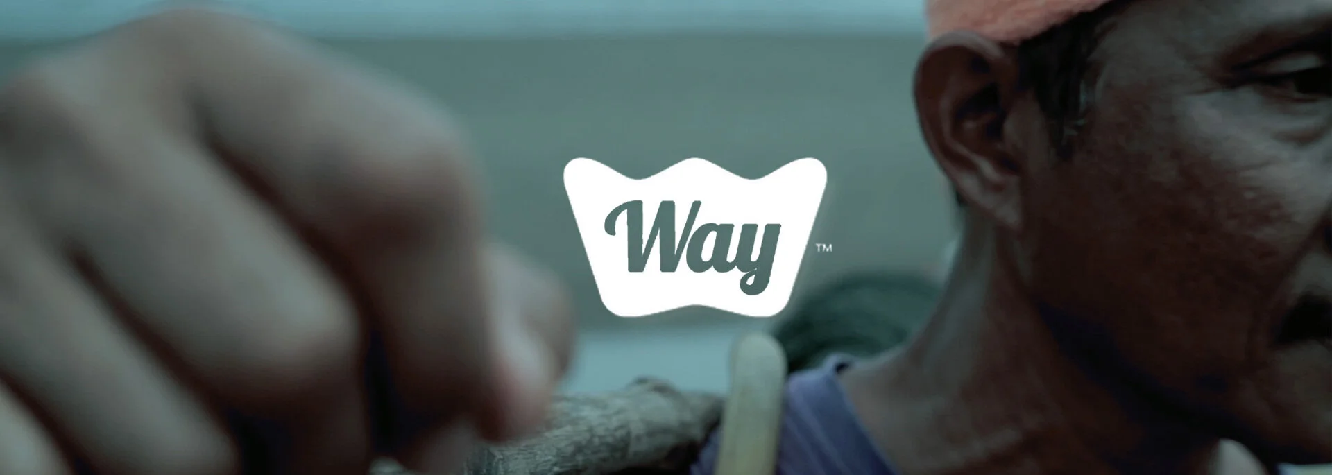 Way Sauce. Brand Story