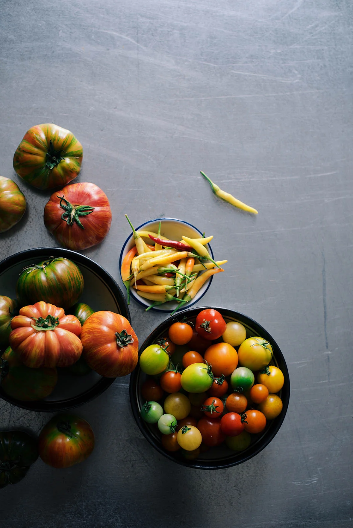 tomato | Nik Sharma Photography