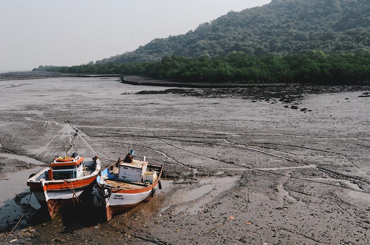 Nik Sharma Photography