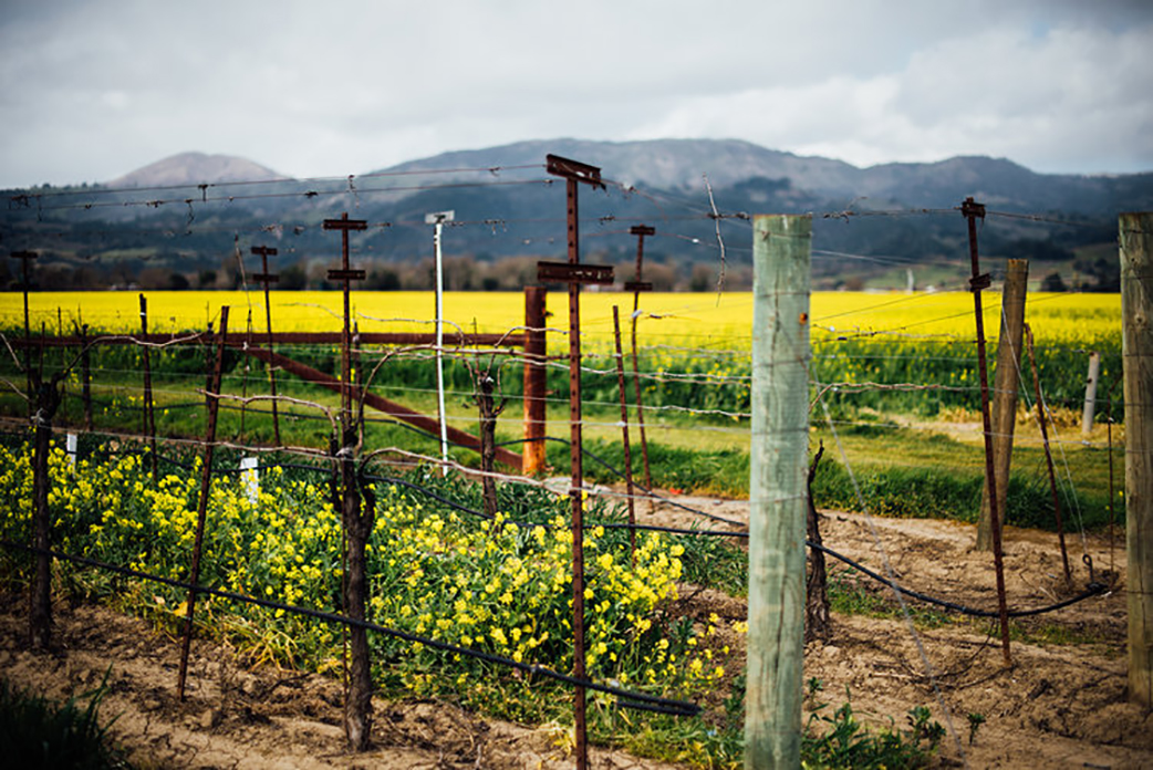 untitled+(1+of+1)_DSC8660.jpg