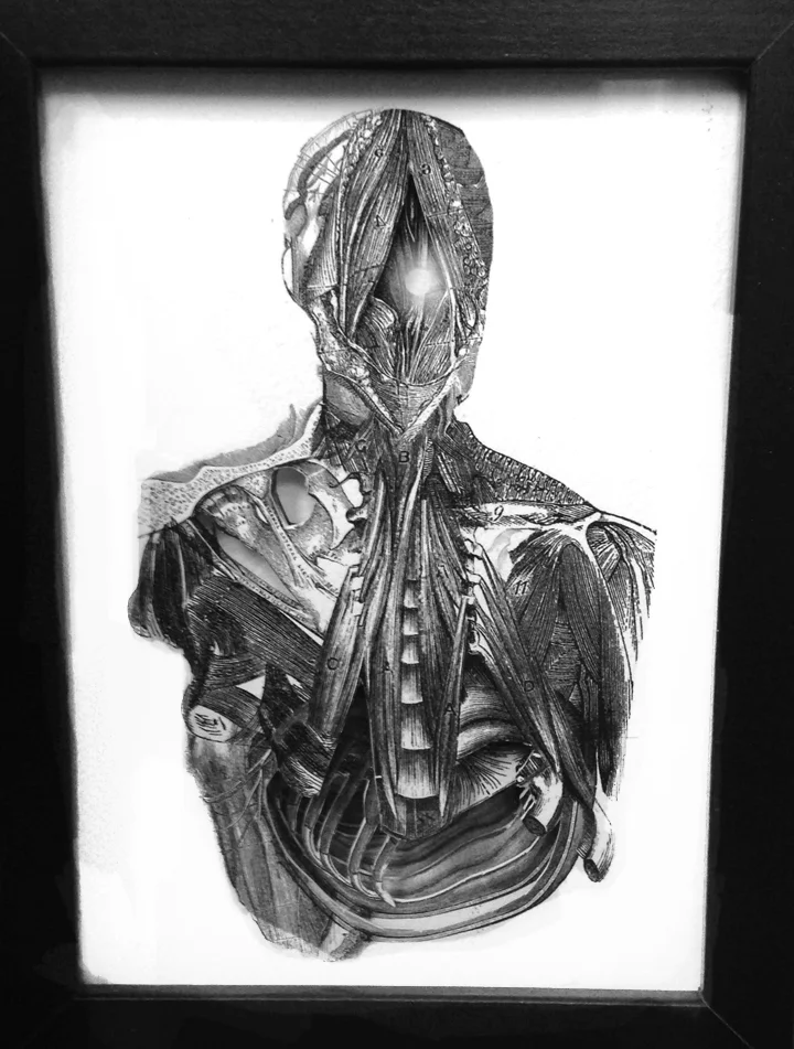eckmanlawn.organdonerframebigger.jpg