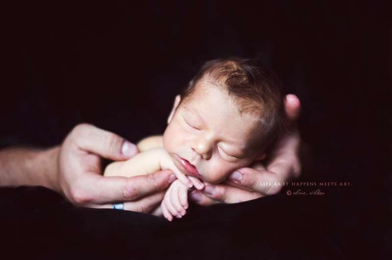 newborn-photographer-cuddled.jpg
