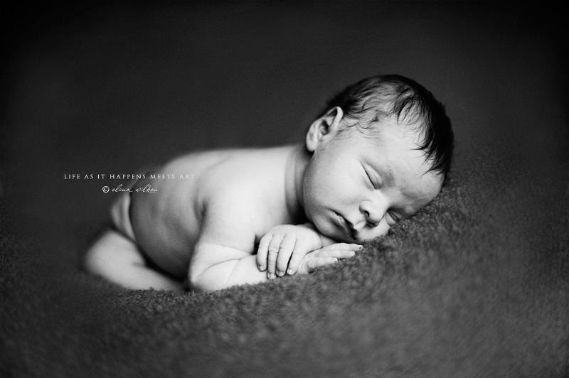 2web-newborn-photographer-Portland.jpg
