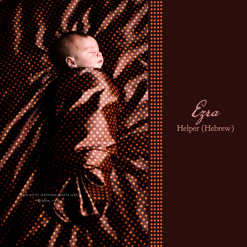 1web-newborn-photographer-Portland.jpg