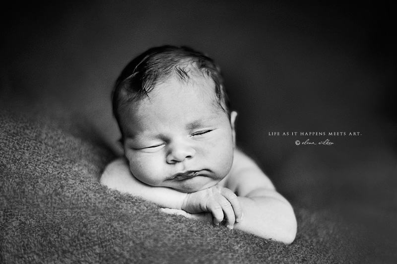 3web-newborn-photographer-Portland.jpg