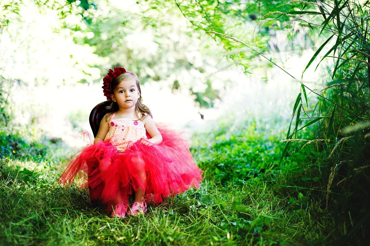 ewilken-redtutu.jpg
