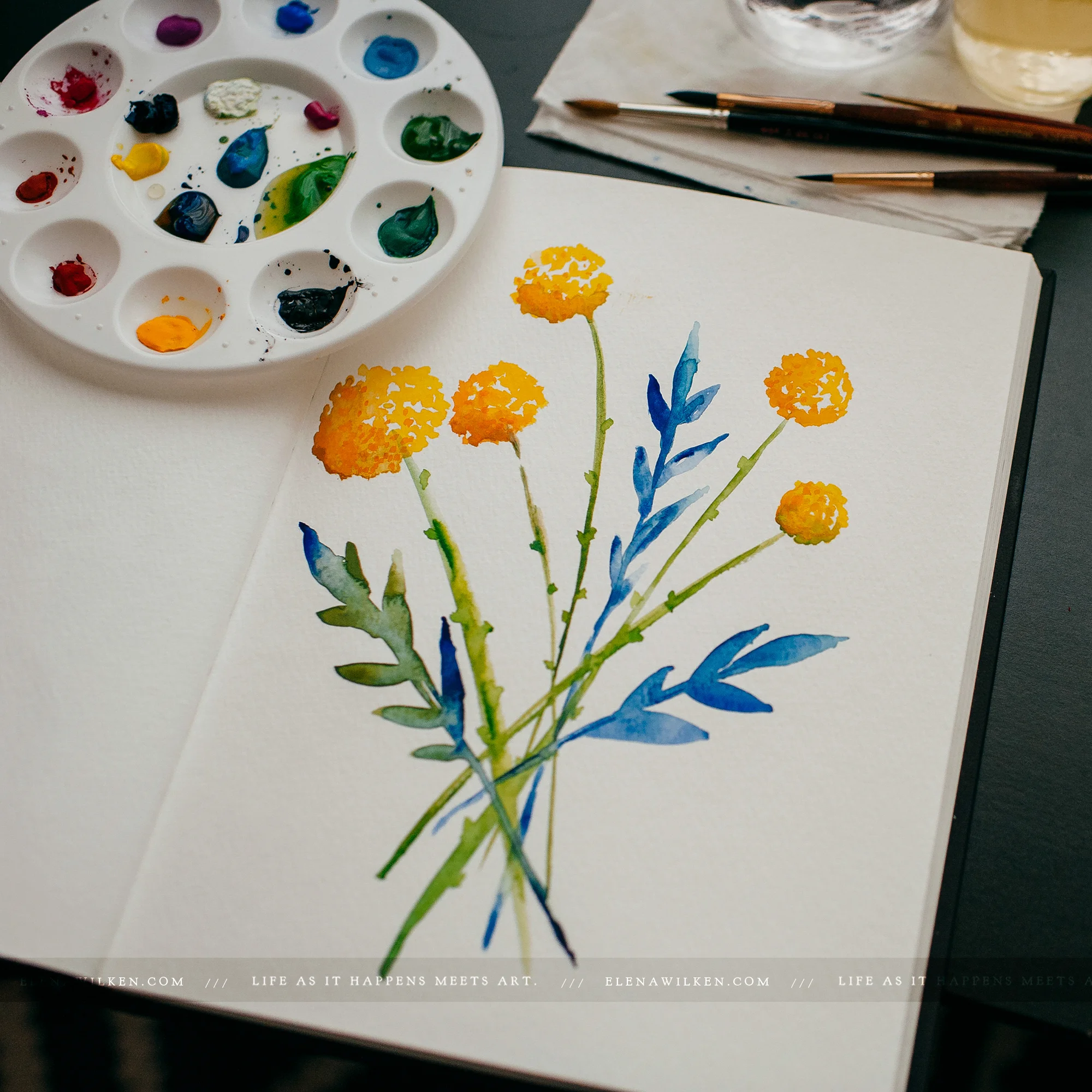 watercolors-and-gouache-crespidias-elena-wilken.jpg
