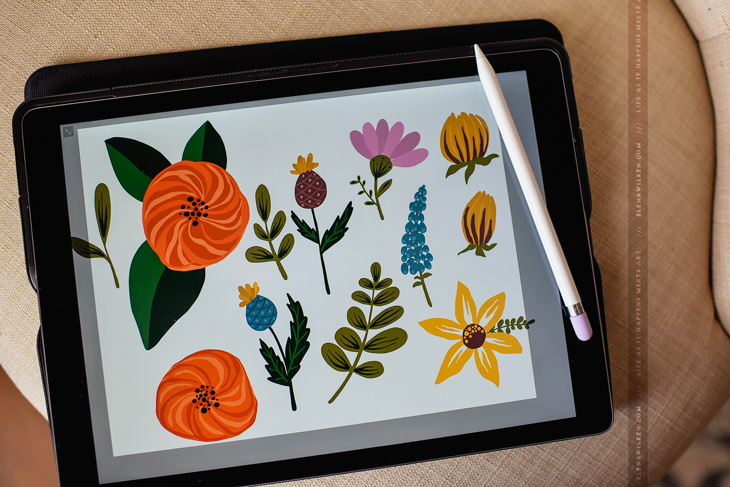 From Adobe Draw Digital Illustrations To Final Product Elena Wilken