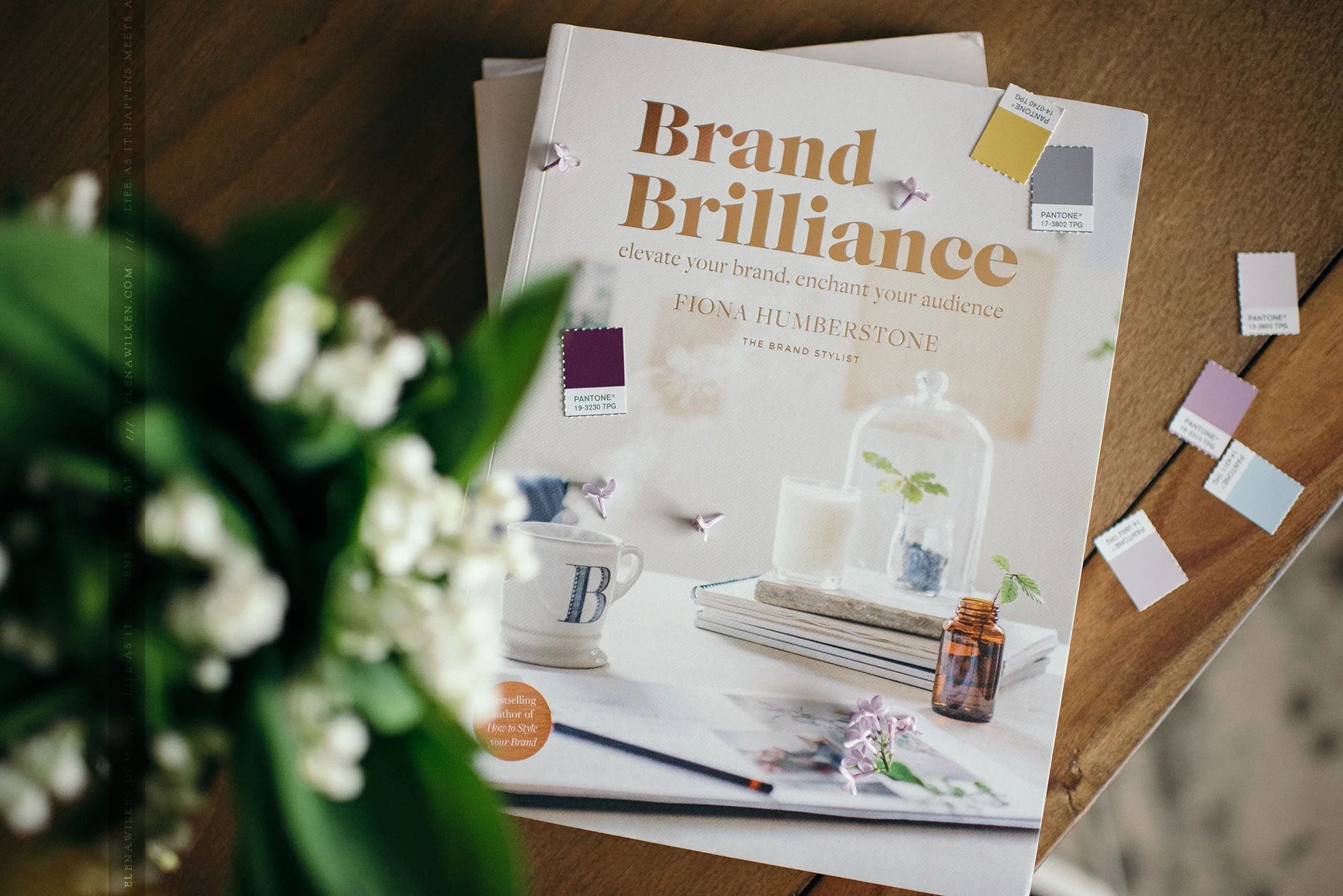 brand-brilliance-fiona-humberstone-branding-ew-couture.jpg