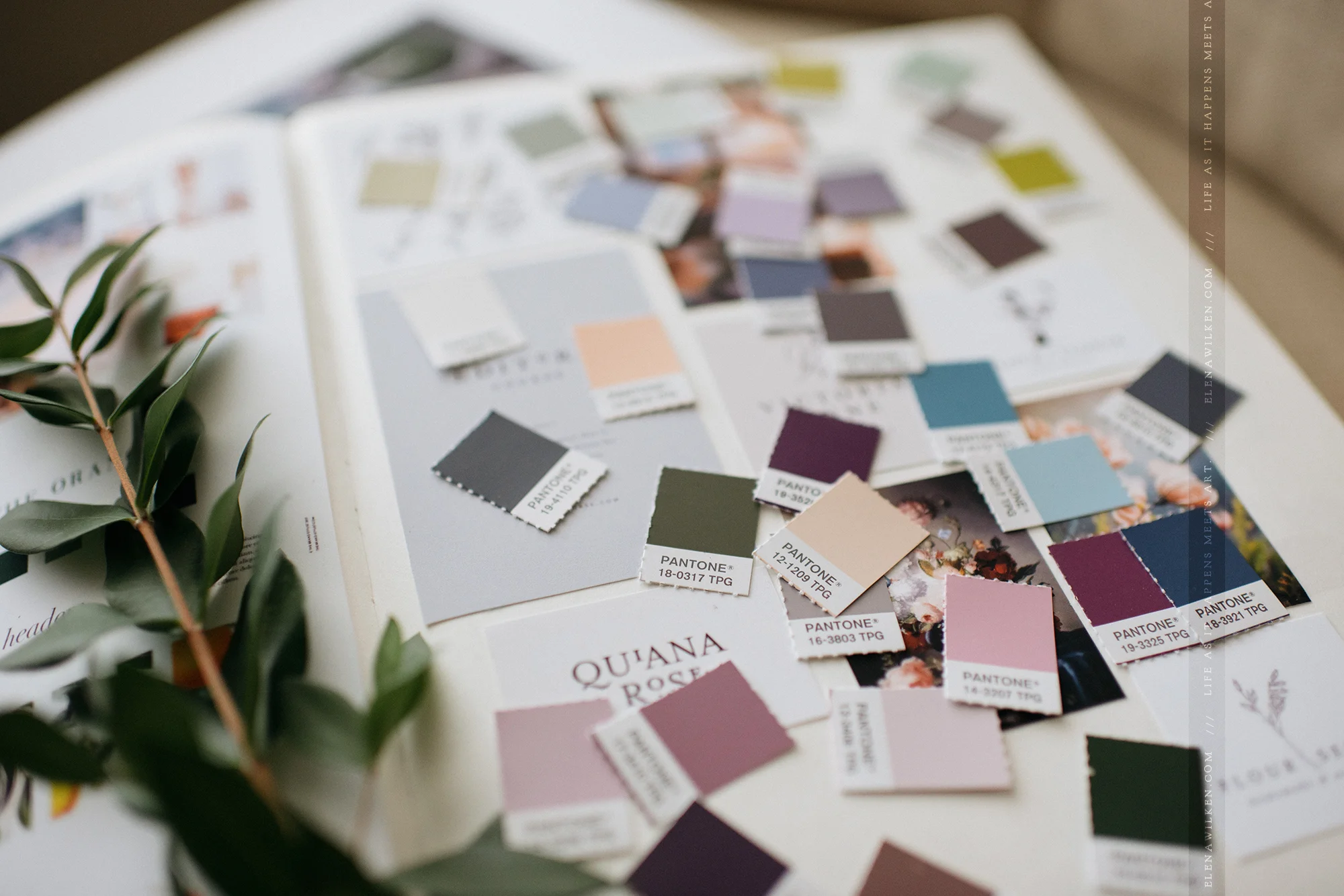 branding-ew-couture-pantone-colors.jpg