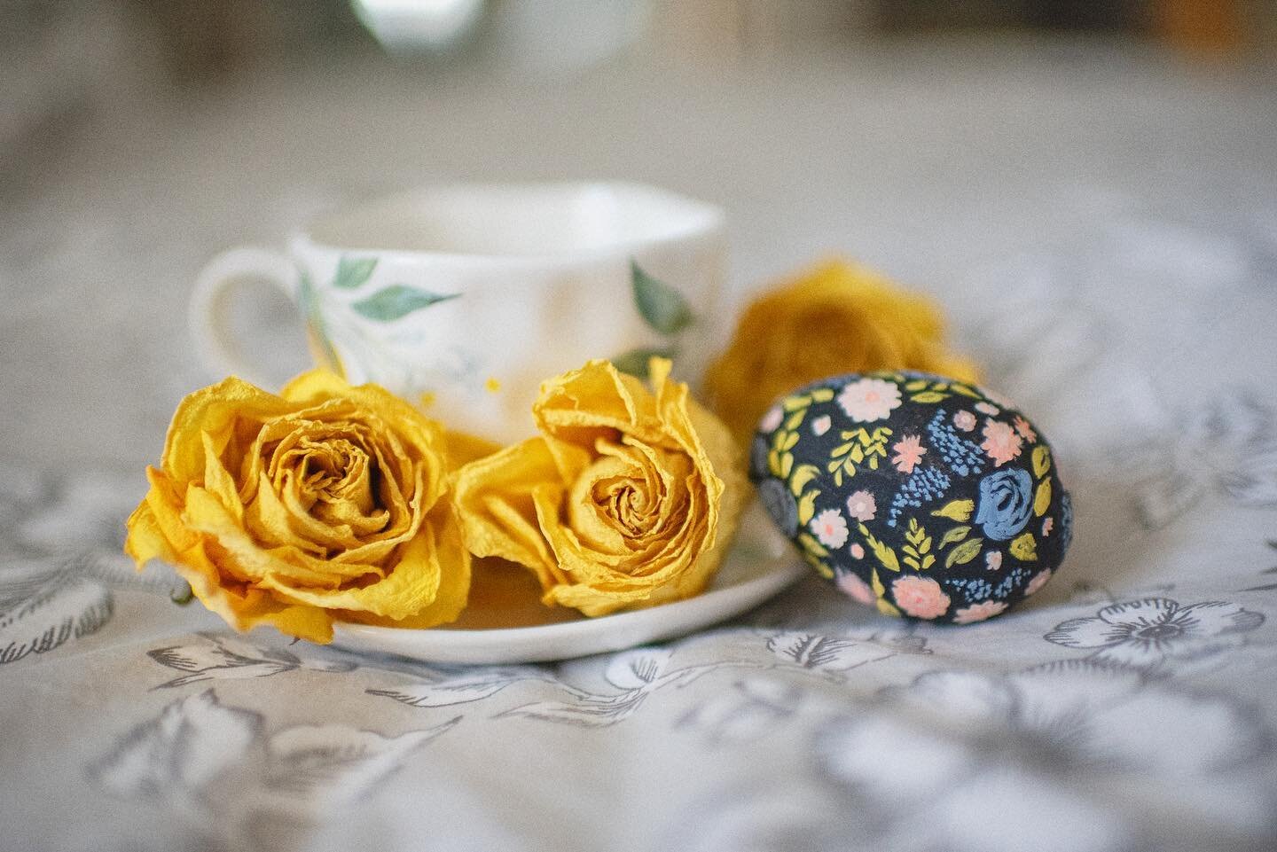 After discarding the dead bouquet of flowers, the textures and color in these wilted Valentine&rsquo;s Day roses caught my eye and imagination. I realized that they would probably work great in flat lays.

Chances are we&rsquo;ll find beauty and a sp