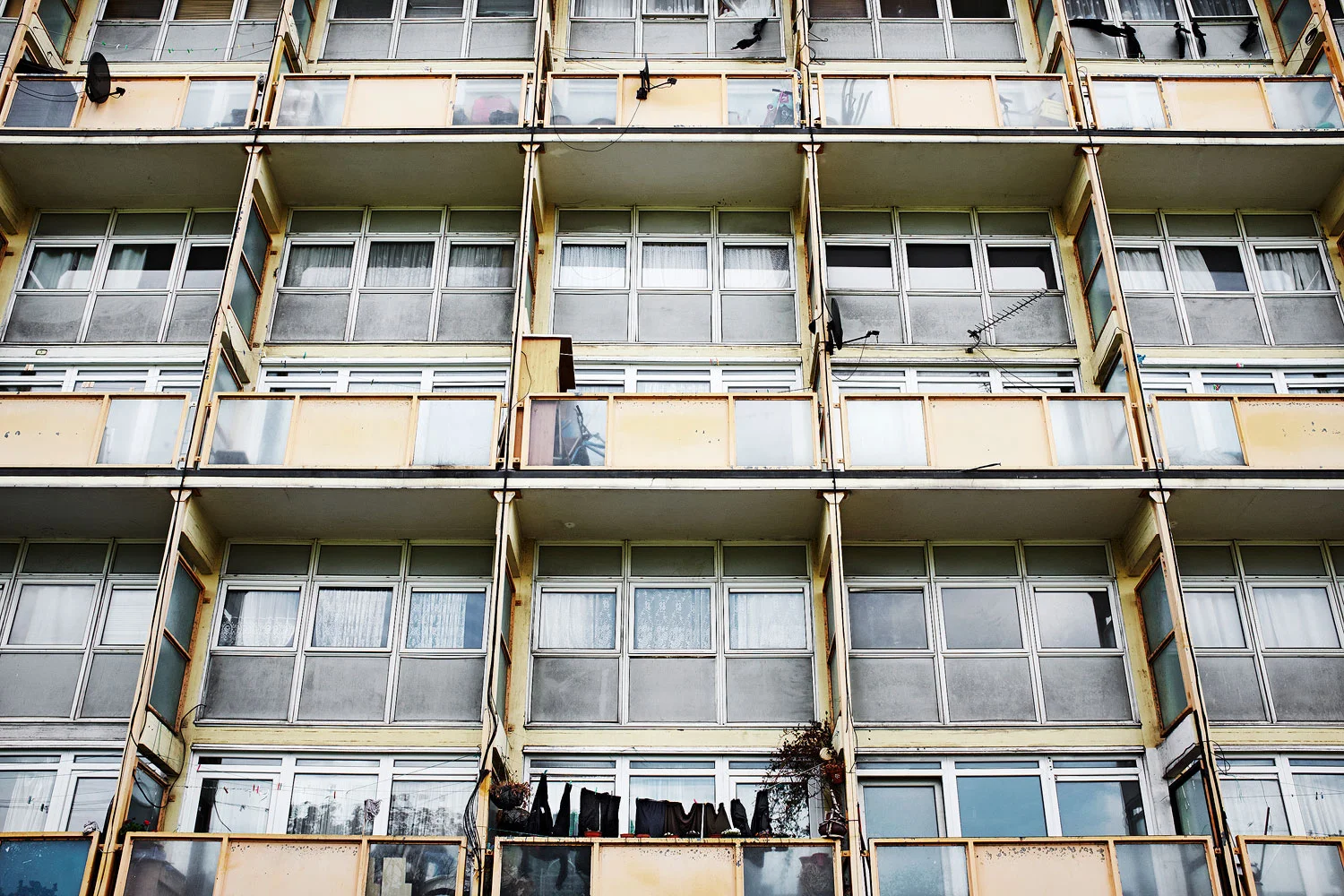 Buckhurst Street, E1