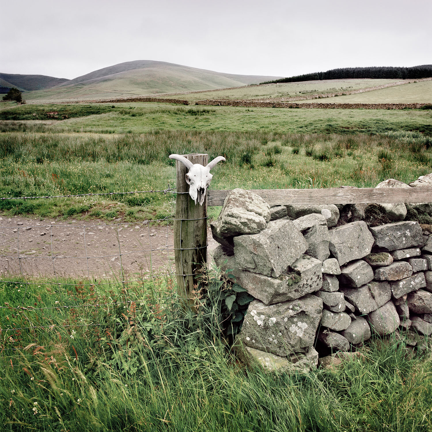  Scottish Borders, 2004. 