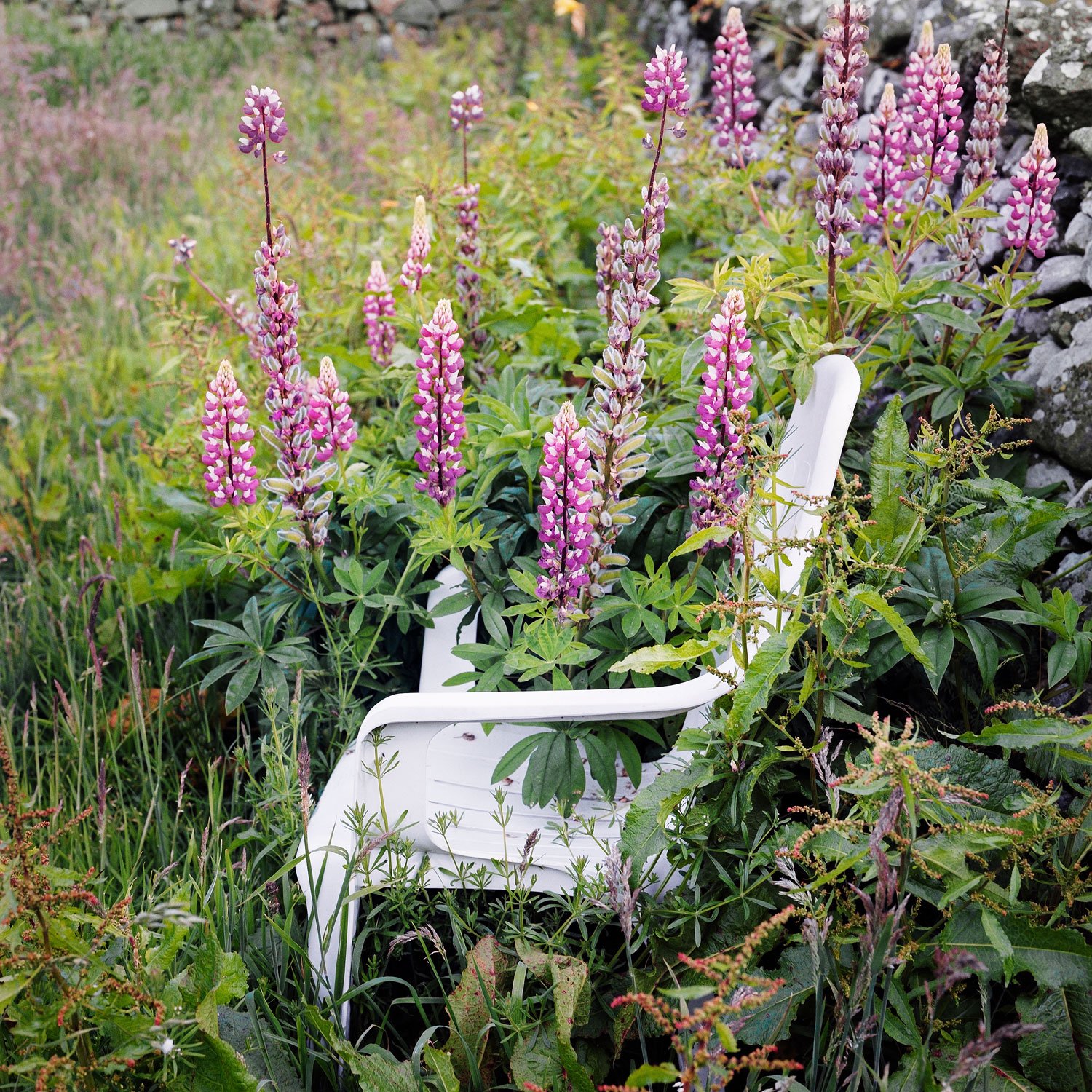  Scottish Borders, 2003   