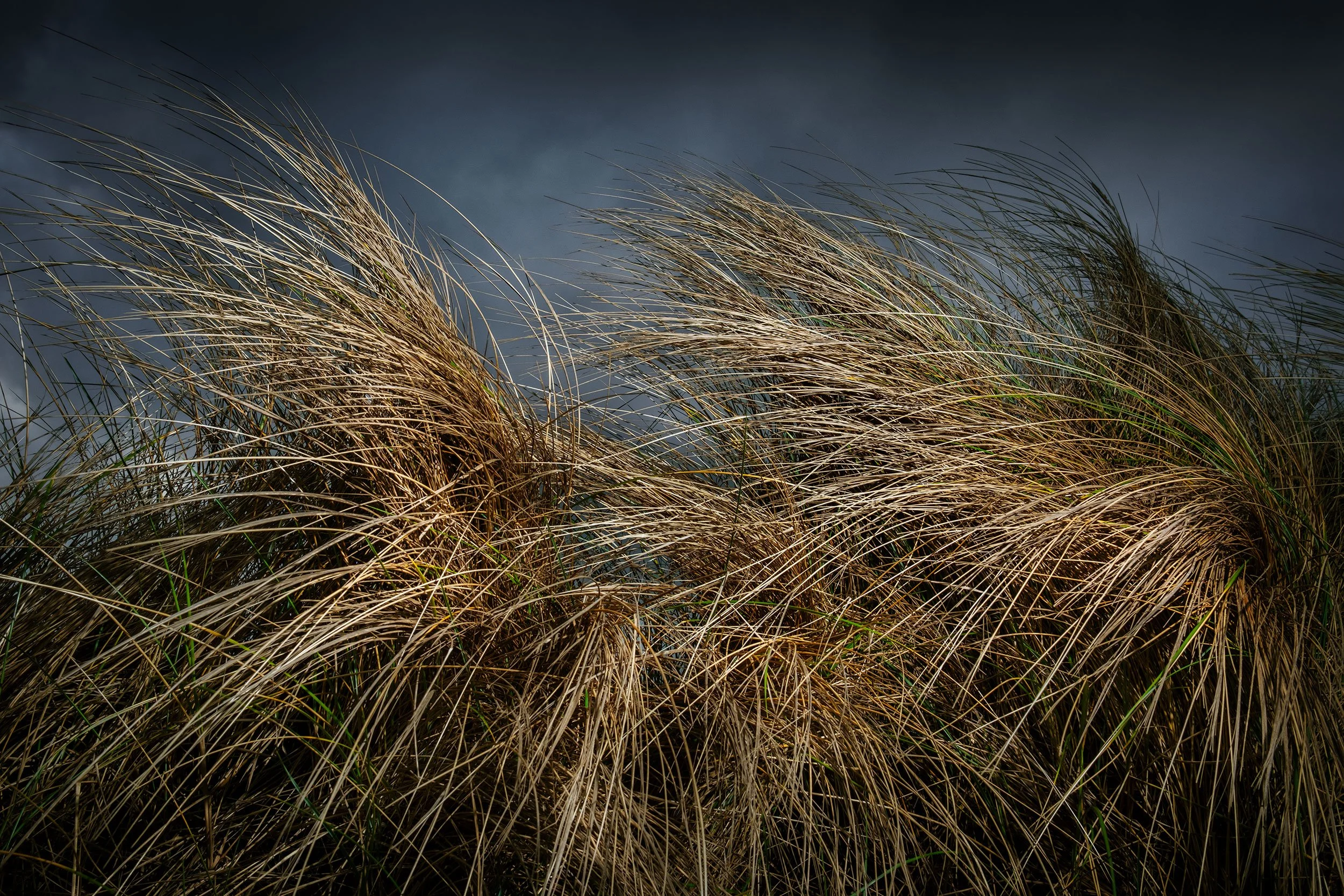 DSCF9563.jpg