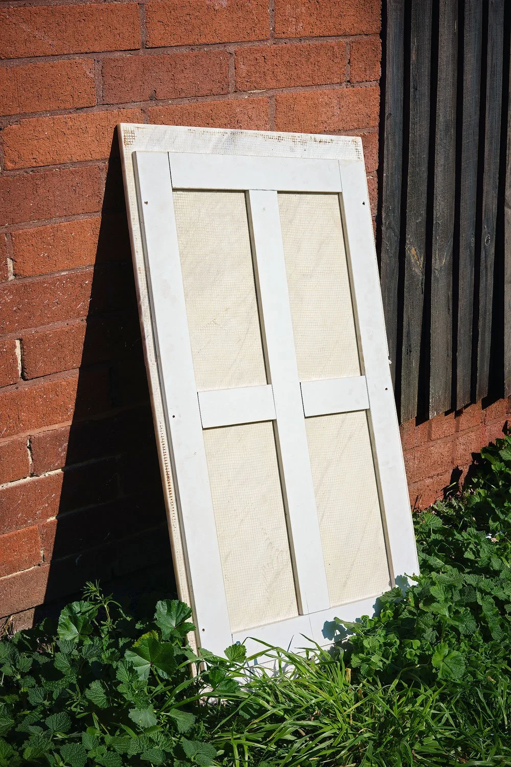 DSCF1481.jpg