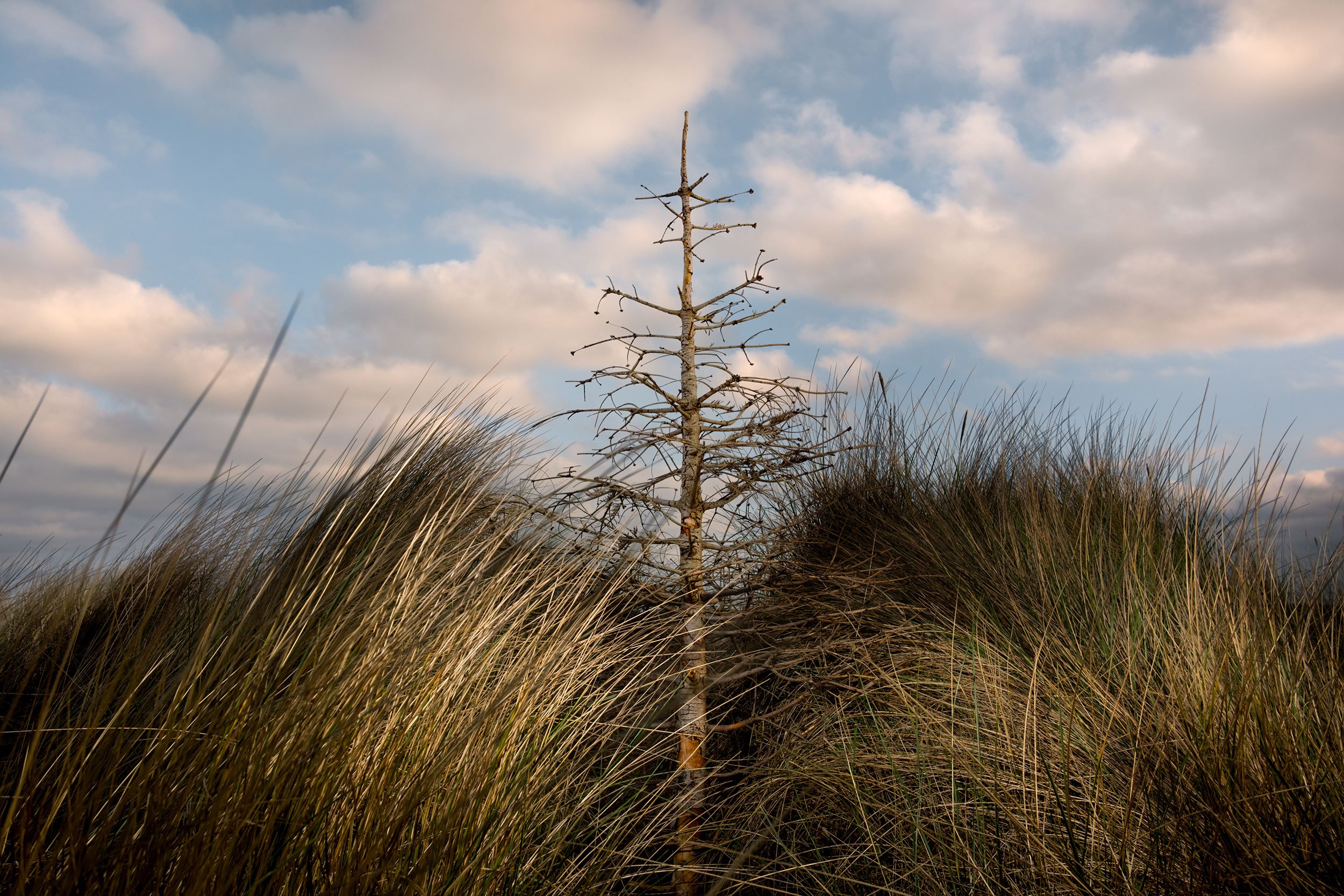 DSCF9498.jpg