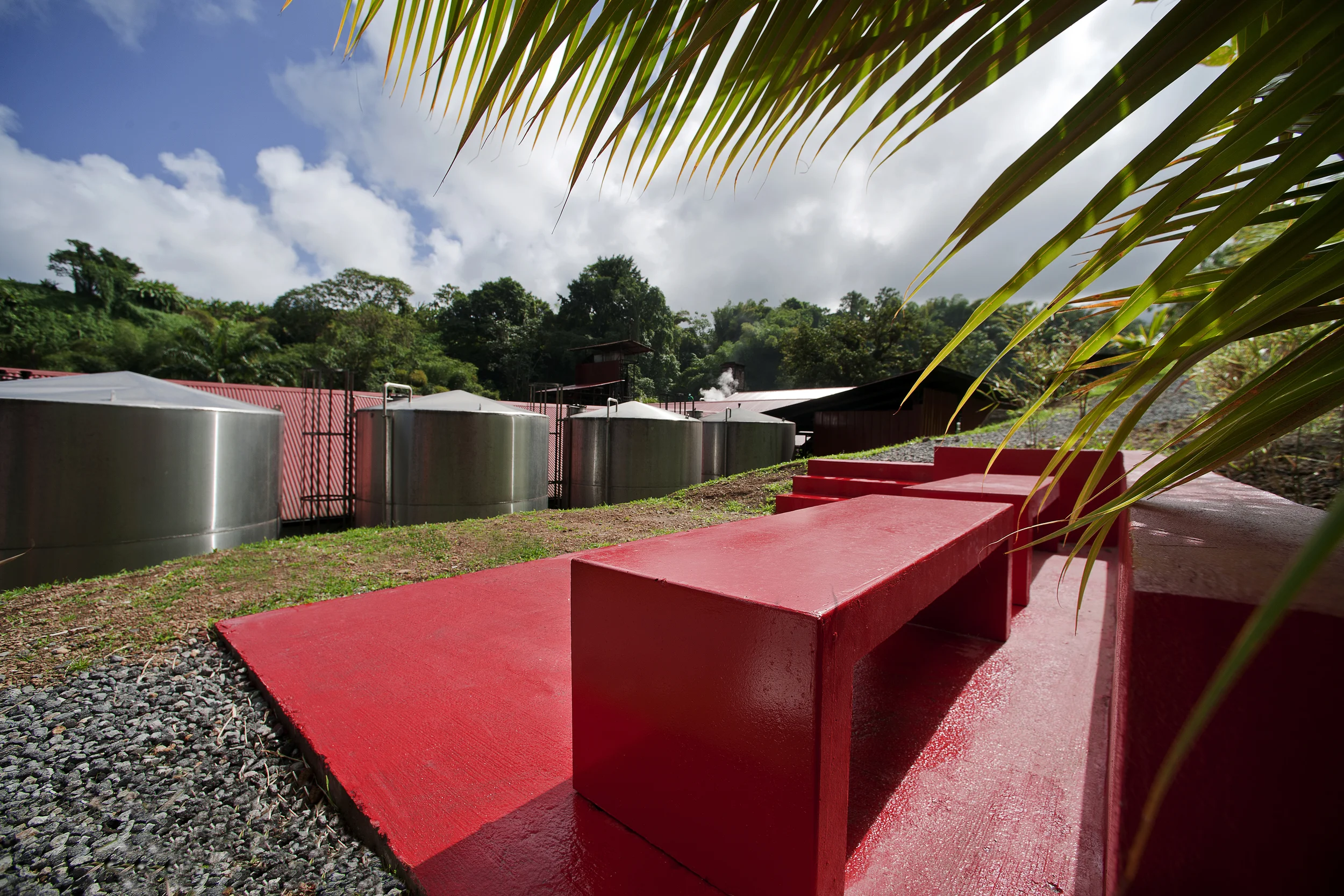 PLATEFORME CUVE RHUM BLANC (reteneue).jpg