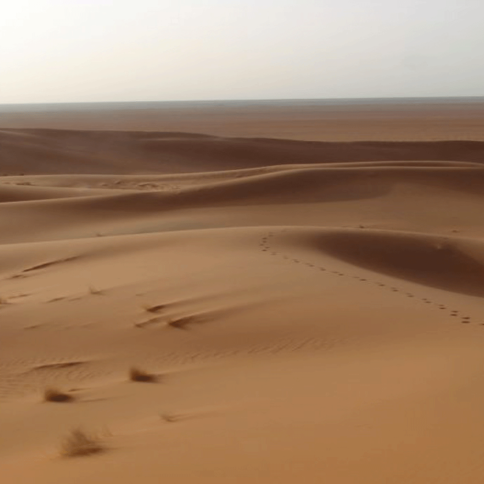 site-sceno-lv-3.png