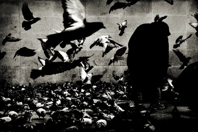 Foto: Andreas H. Bitesnich