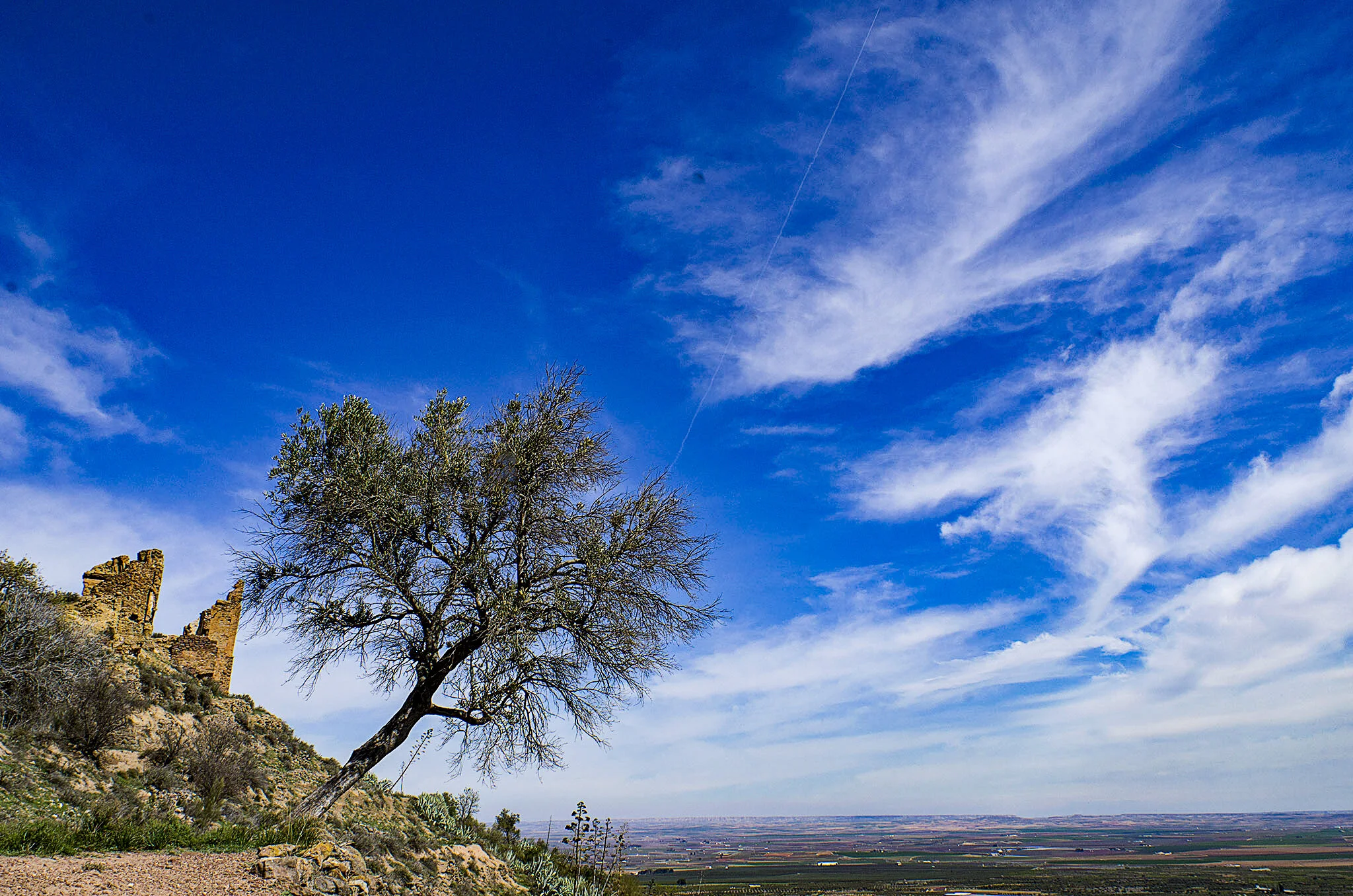 L1000043.jpg