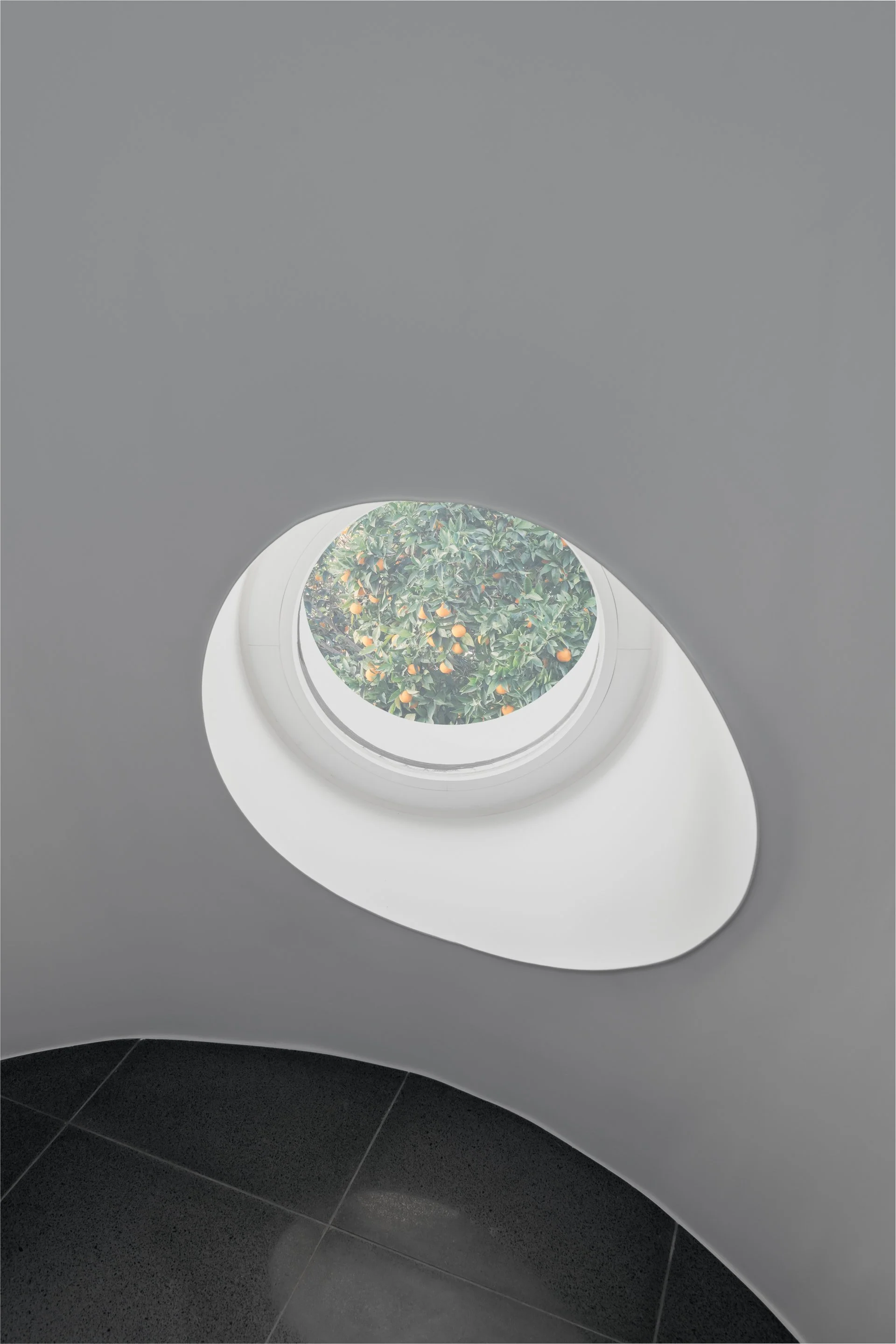 ALArquitectos - lapa 33.jpg