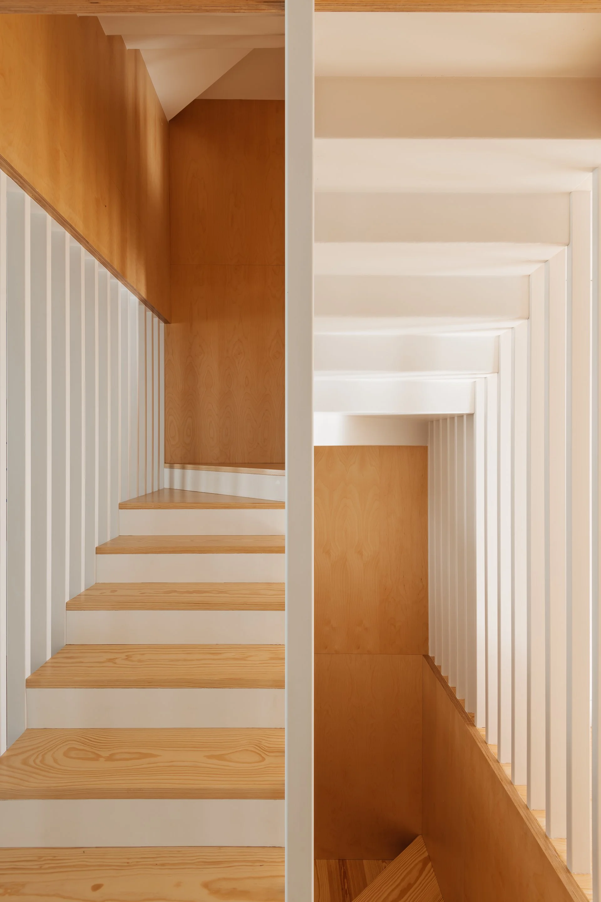 ALArquitectos - S F Xavier 12.jpg