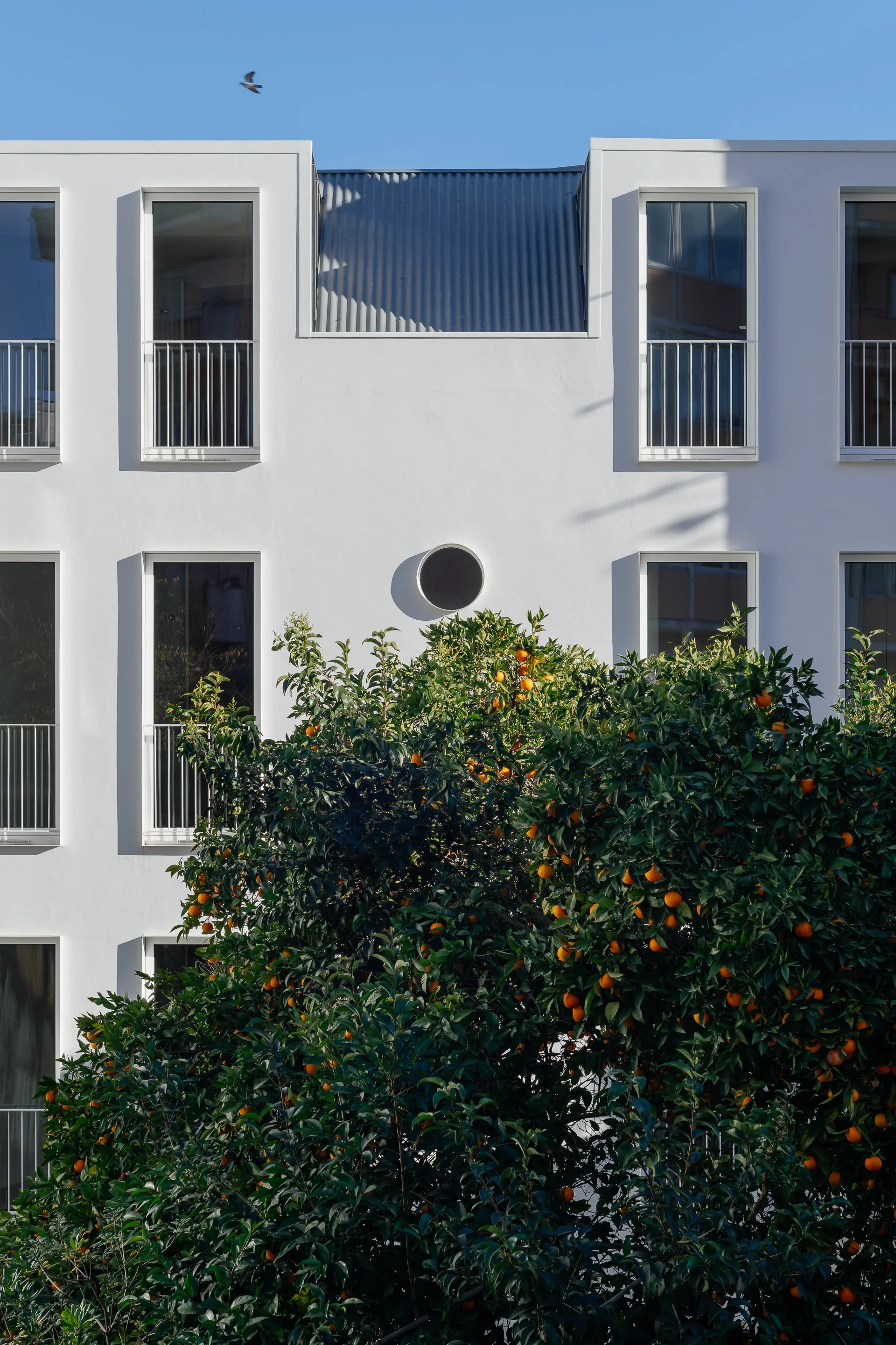 ALArquitectos - Belavista Lapa 36.jpg