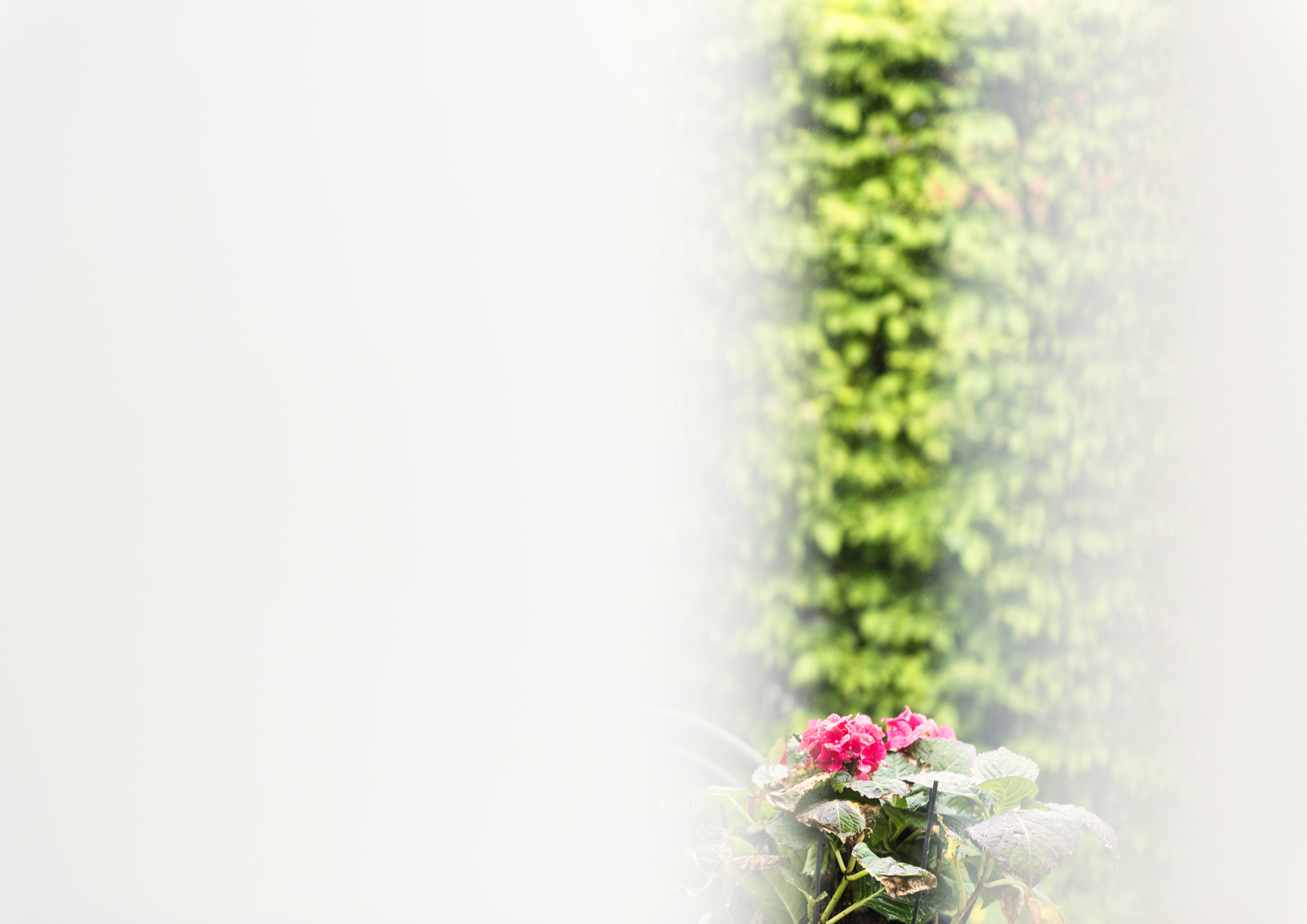 A3_clc_DSC8831 as Smart Object-1.jpg