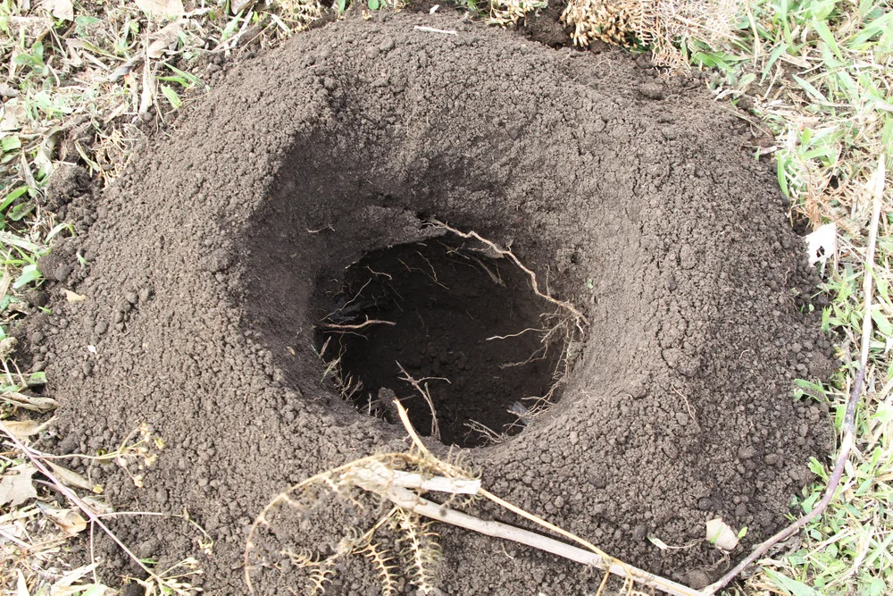 Different+soils+on+the+farm.jpg