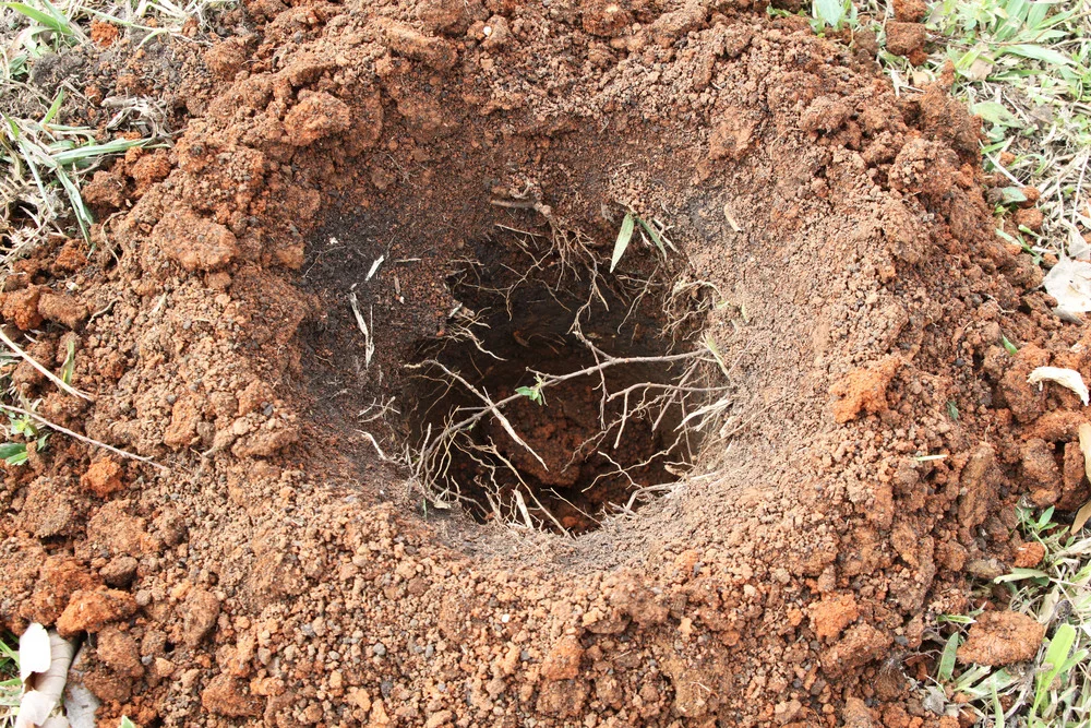 Different+soils+on+the+farm2.jpg