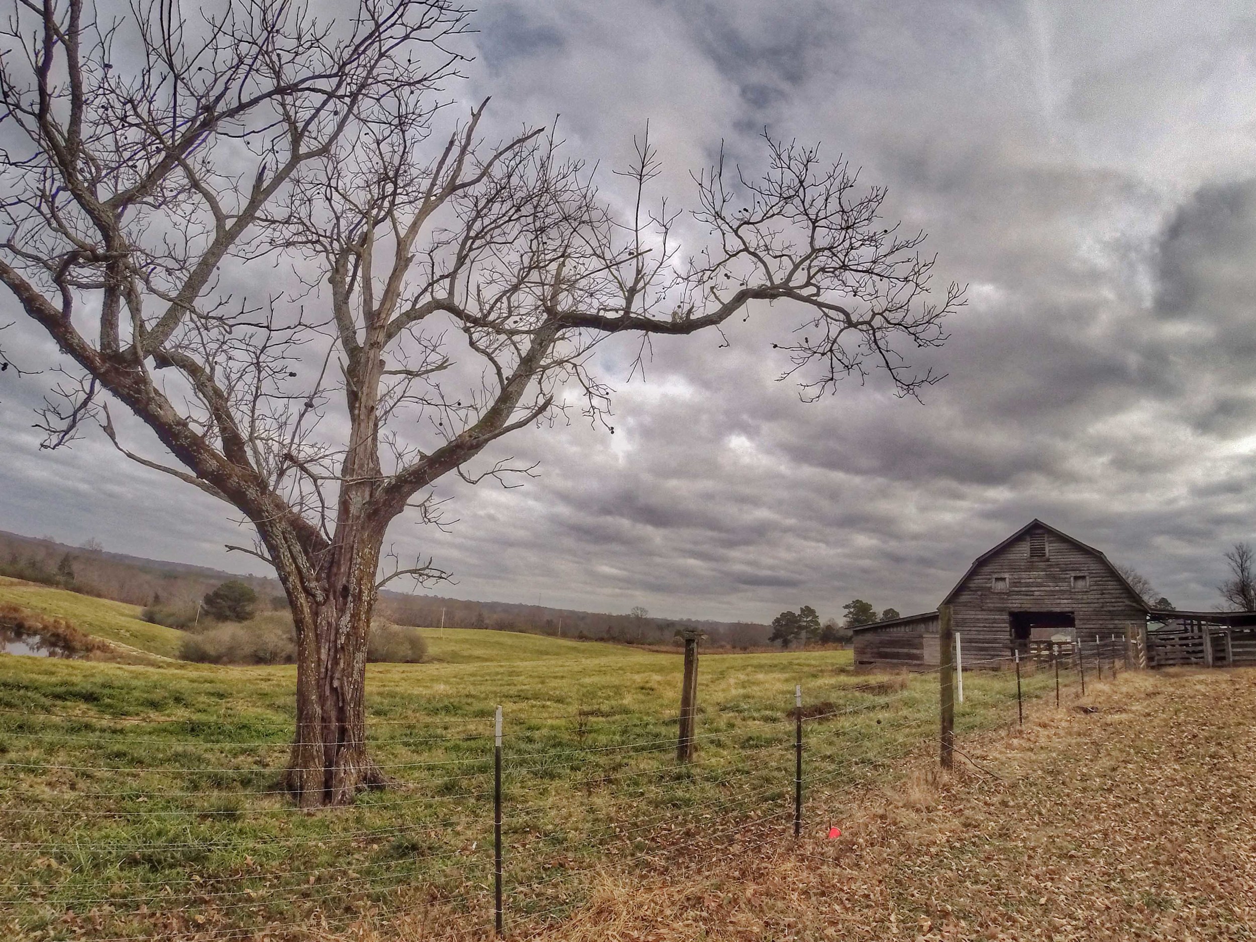 Barns of Winston County