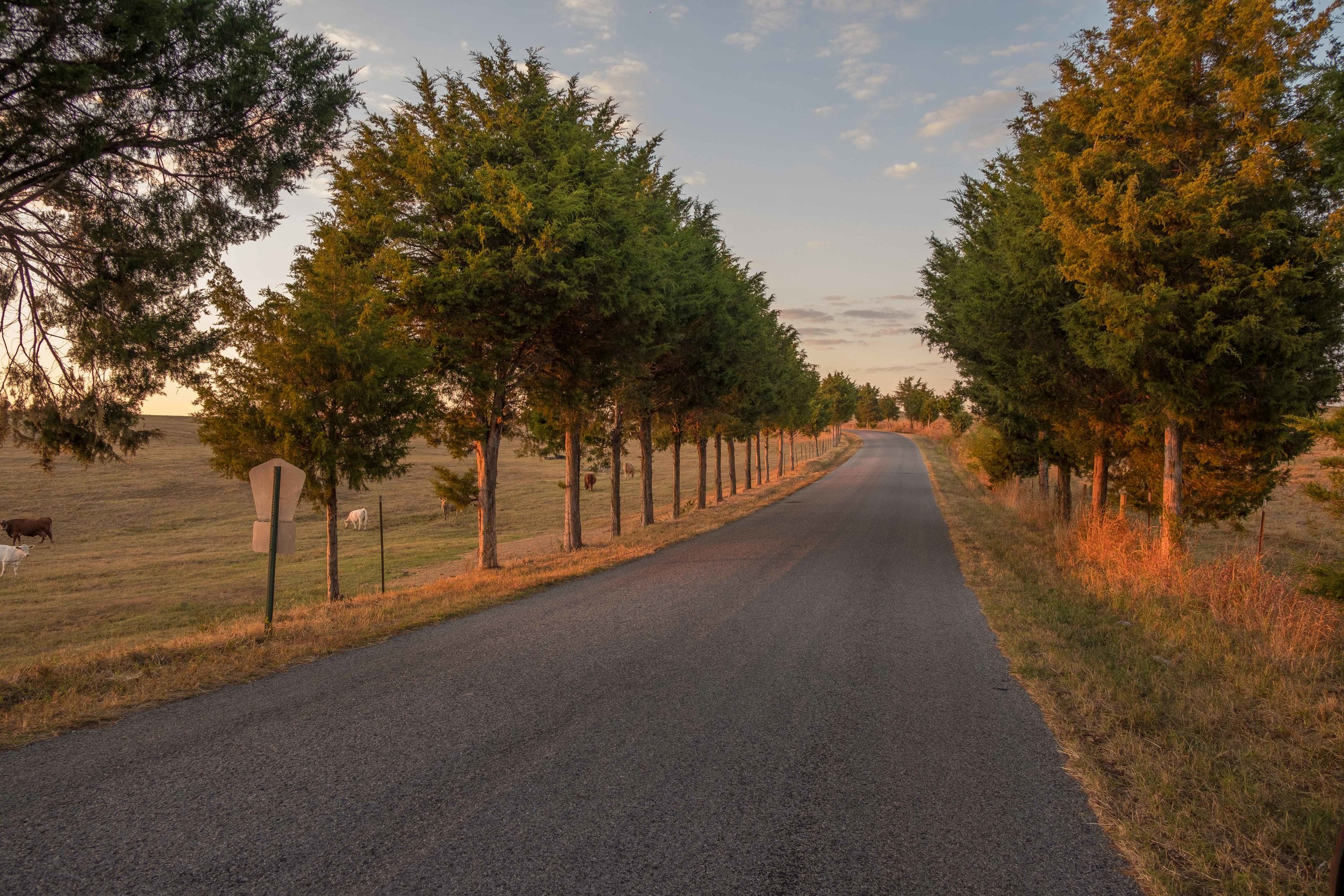 |Crane Hill, Alabama|