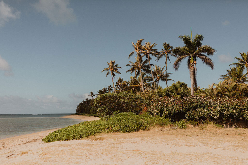 For The Good of All: 7 Charities to Share the Love With