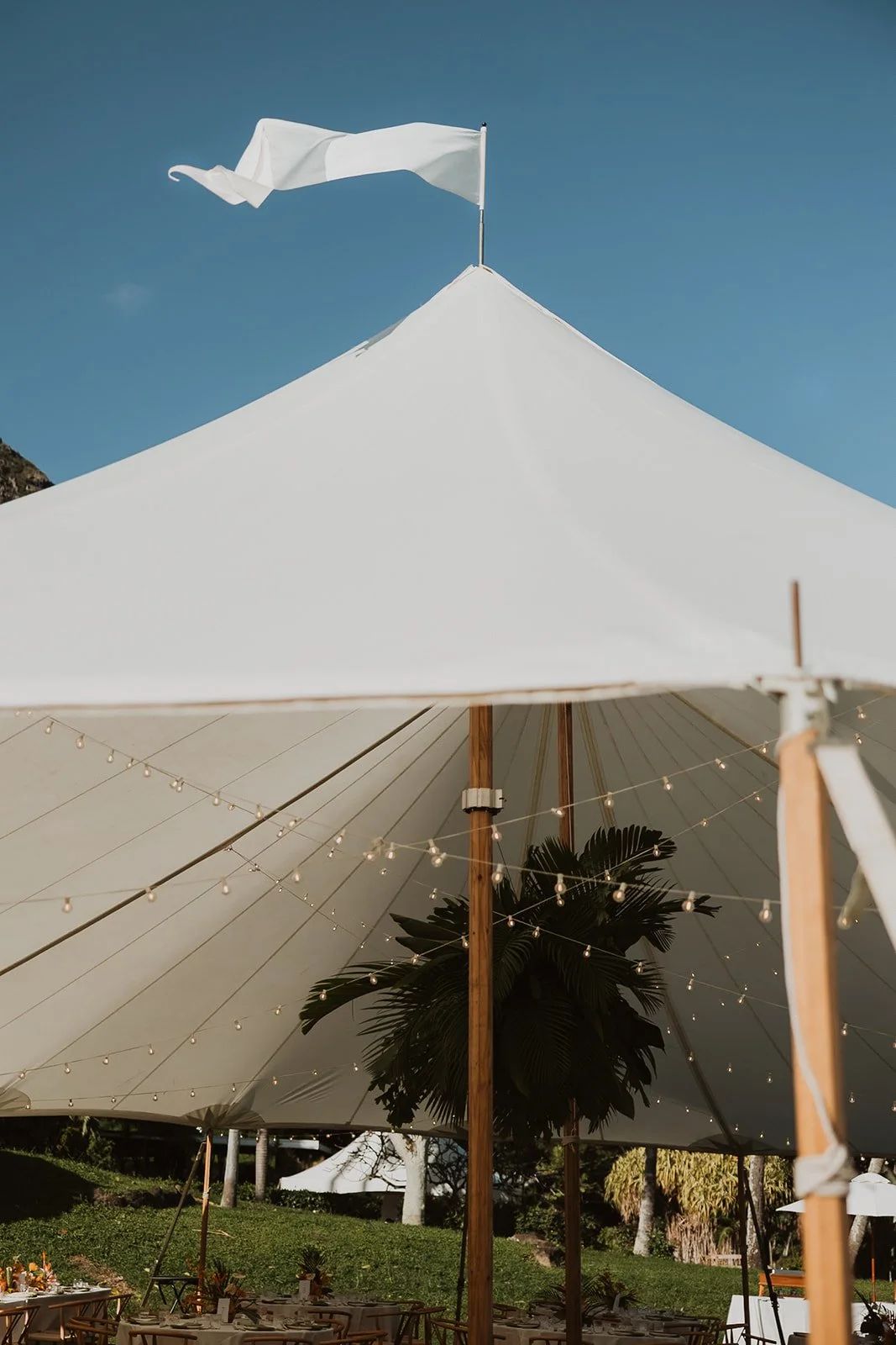 c-r-paliku-garden-kualoa-ranch-wedding-6515.jpg