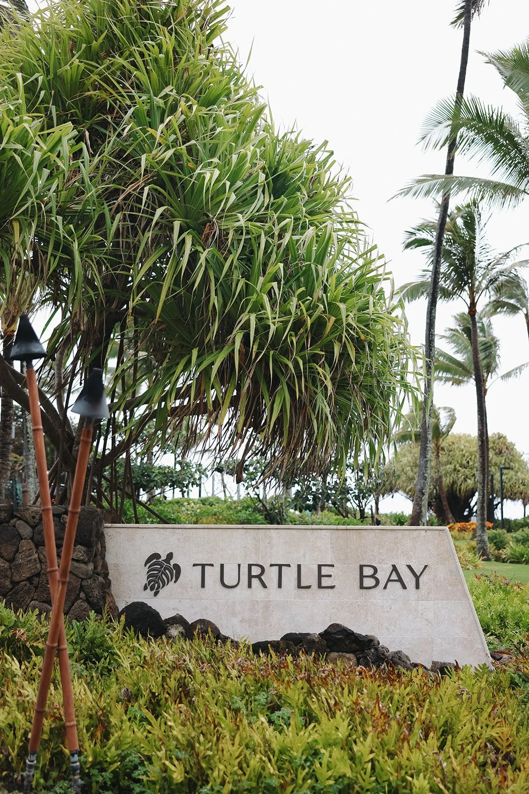 turtle-bay-oahu-wedding-mersadi-olson-37.jpg