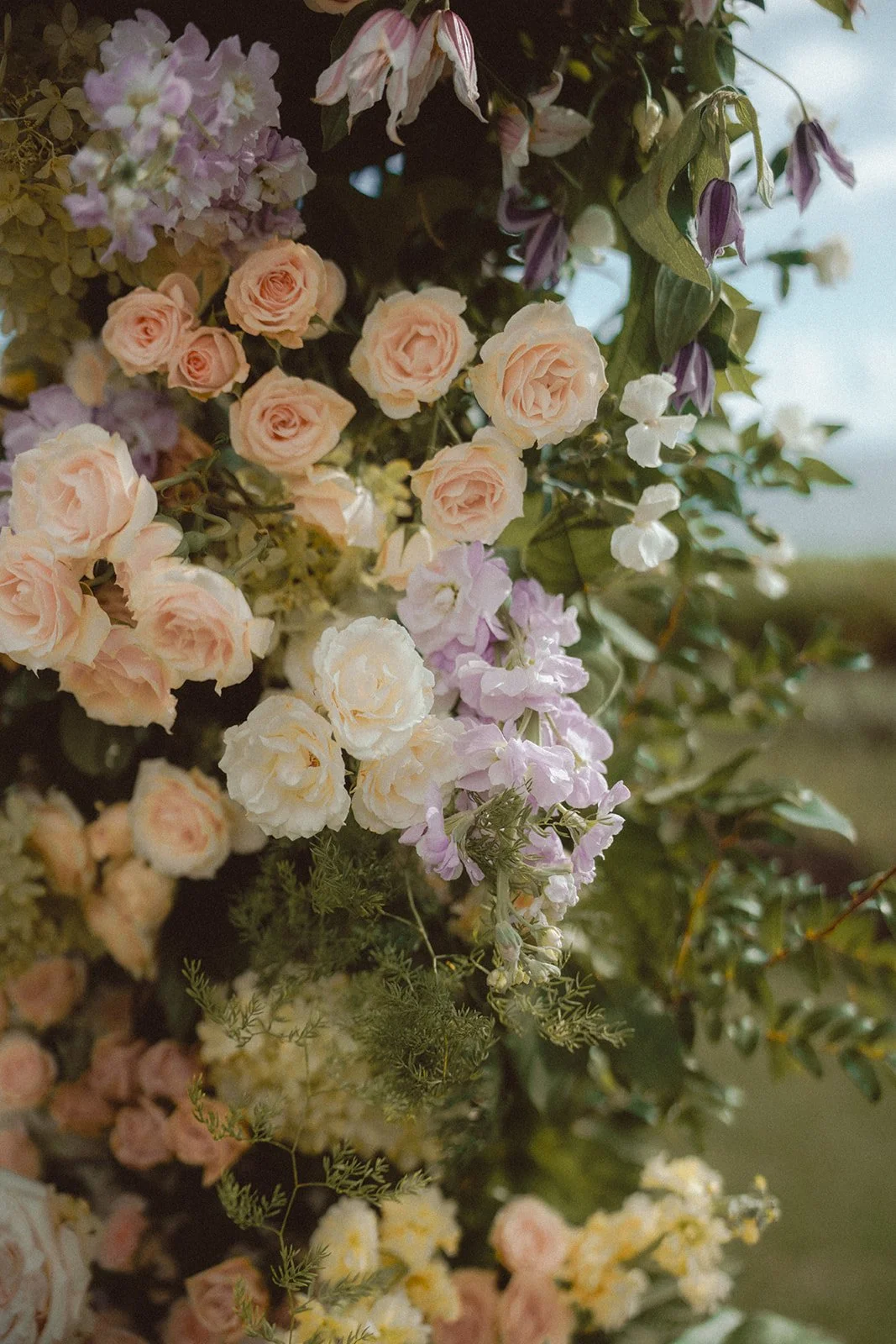 Angel and Andrew-00151.JPG