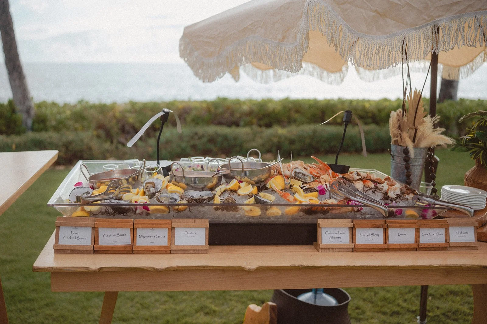 Angel and Andrew-00376.JPG