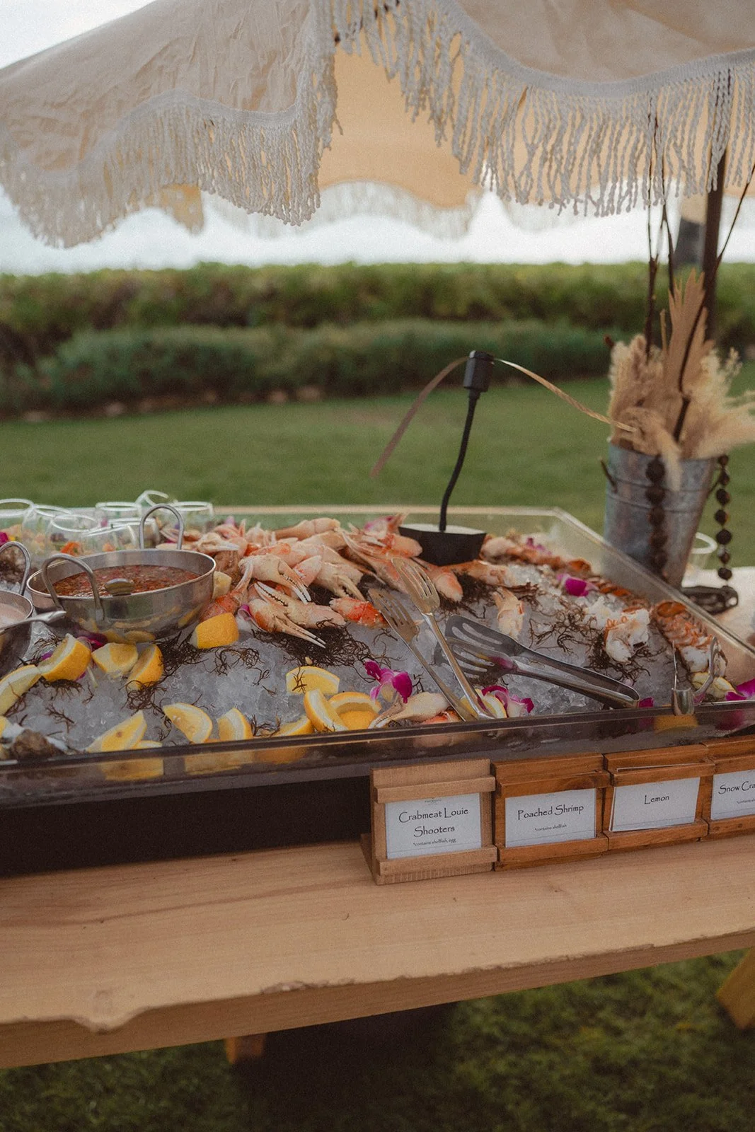 Angel and Andrew-00418.JPG